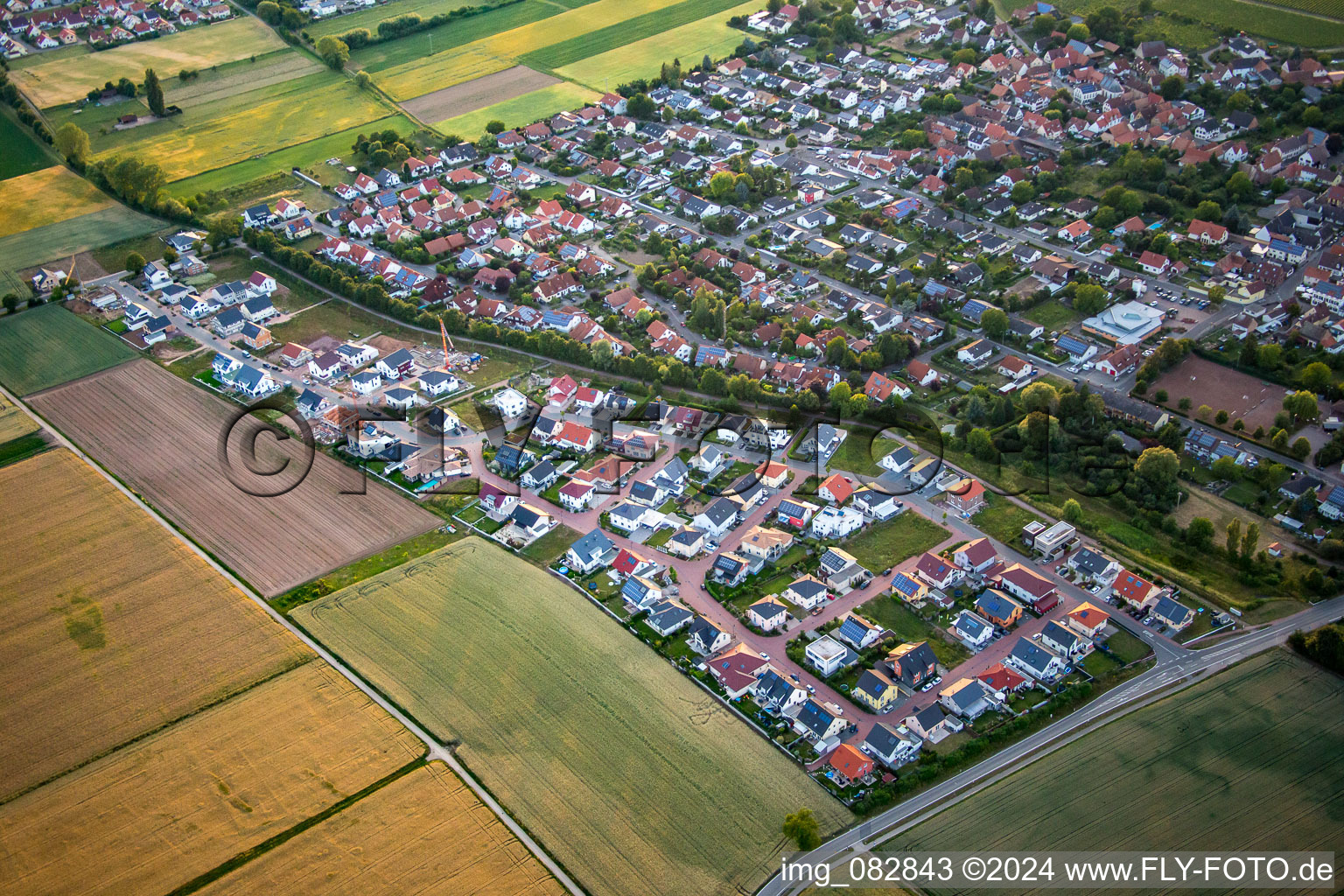 Vue aérienne de Nouvelle zone de développement Am Steinsteg, Trifelsblick à Bornheim dans le département Rhénanie-Palatinat, Allemagne