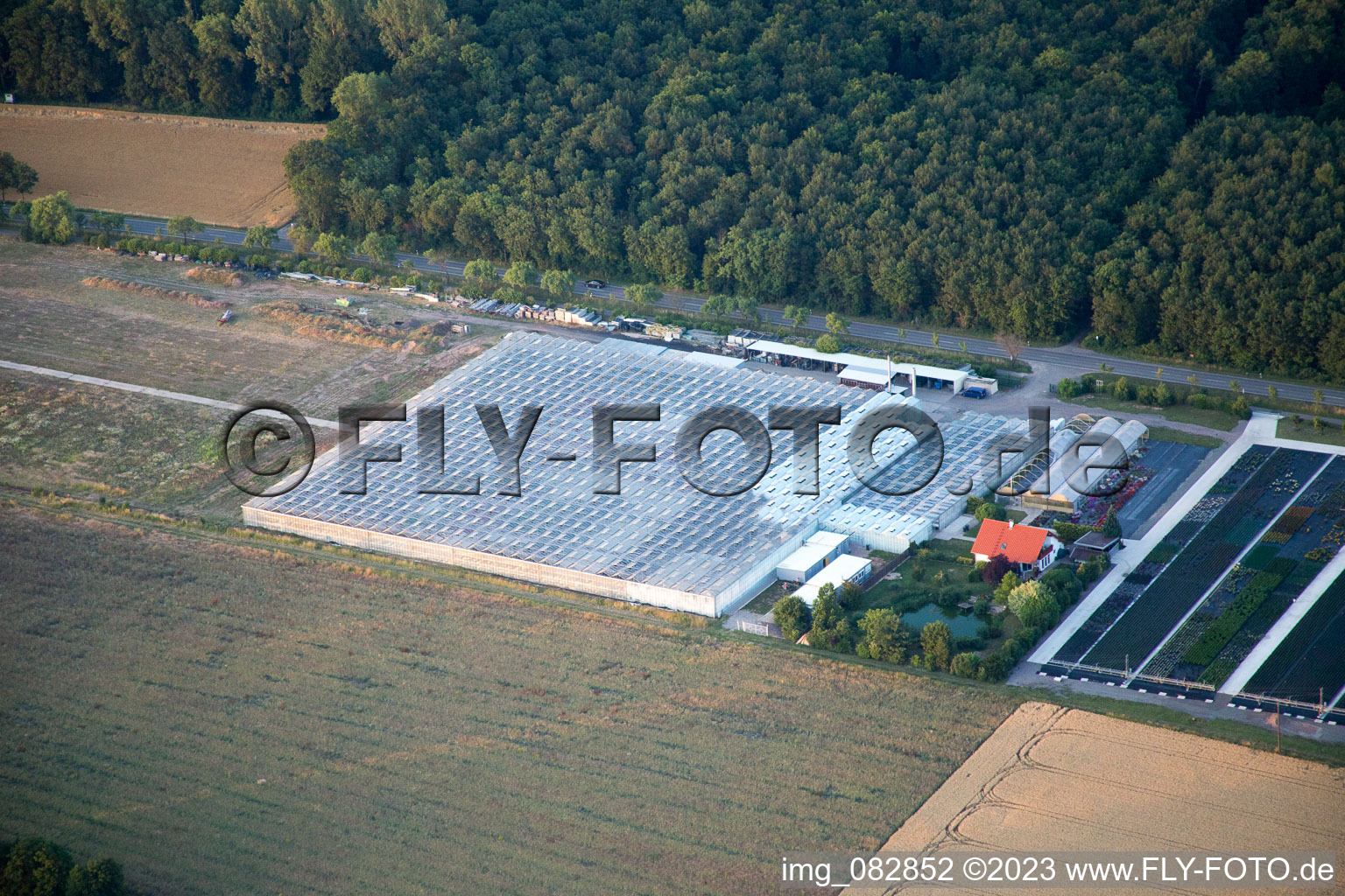 Vue aérienne de Serres de géraniums Endisch à le quartier Dreihof in Essingen dans le département Rhénanie-Palatinat, Allemagne