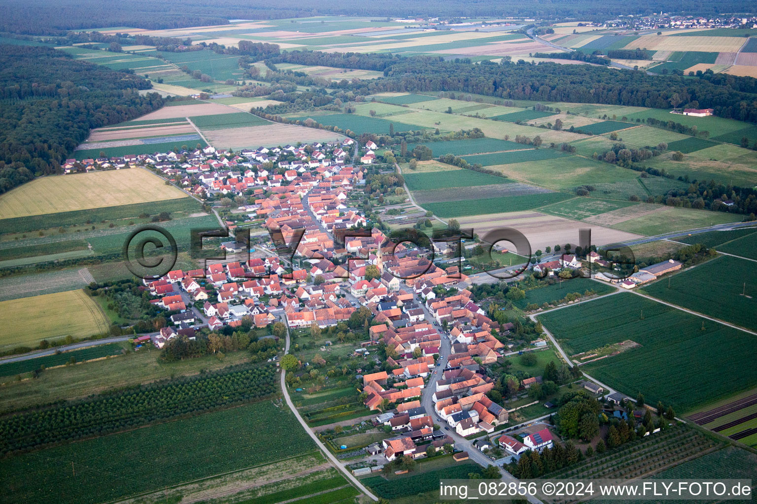 Vue aérienne de Erlenbach bei Kandel dans le département Rhénanie-Palatinat, Allemagne