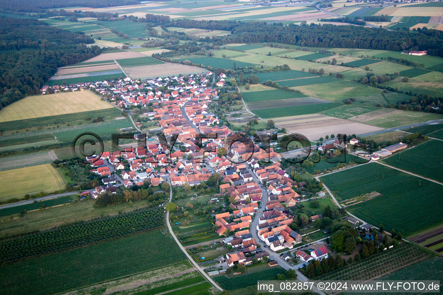 Photographie aérienne de Erlenbach bei Kandel dans le département Rhénanie-Palatinat, Allemagne