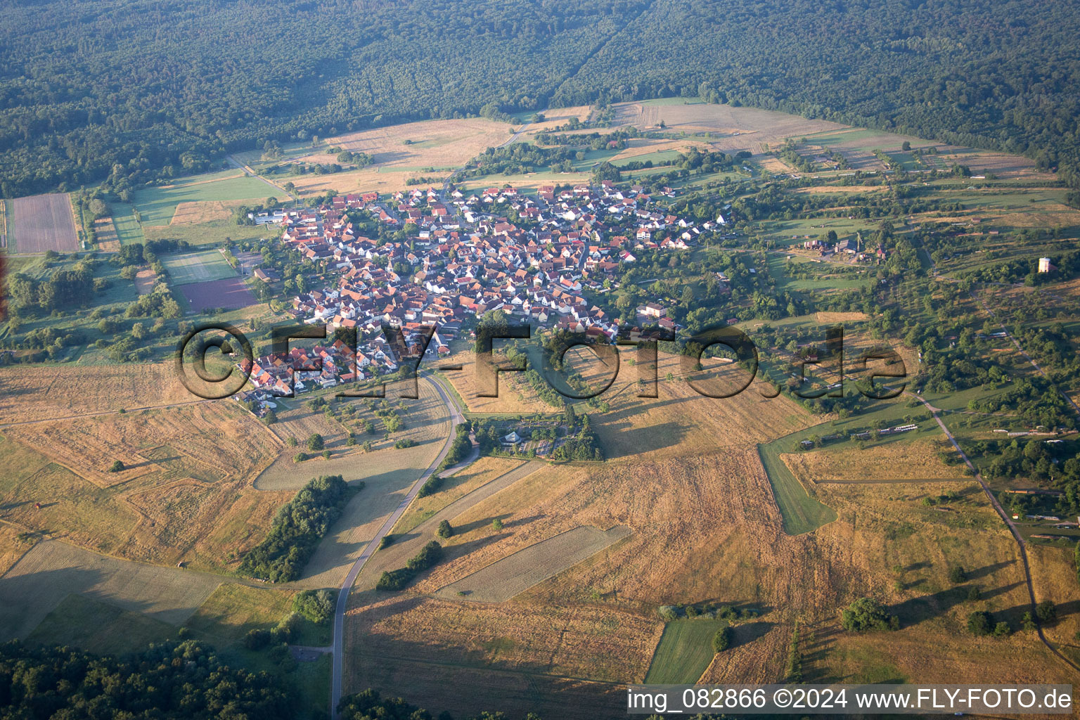 Photographie aérienne de Vue sur le village à le quartier Büchelberg in Wörth am Rhein dans le département Rhénanie-Palatinat, Allemagne
