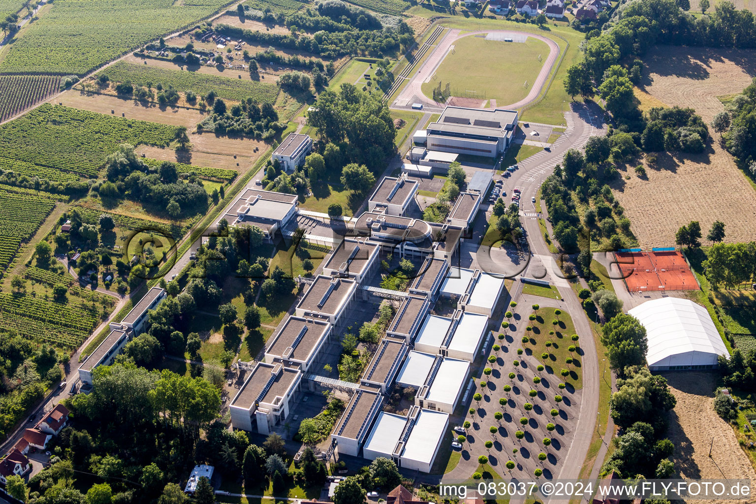 Vue aérienne de Bâtiment scolaire du lycée Stanislas à le quartier Altenstadt in Wissembourg dans le département Bas Rhin, France