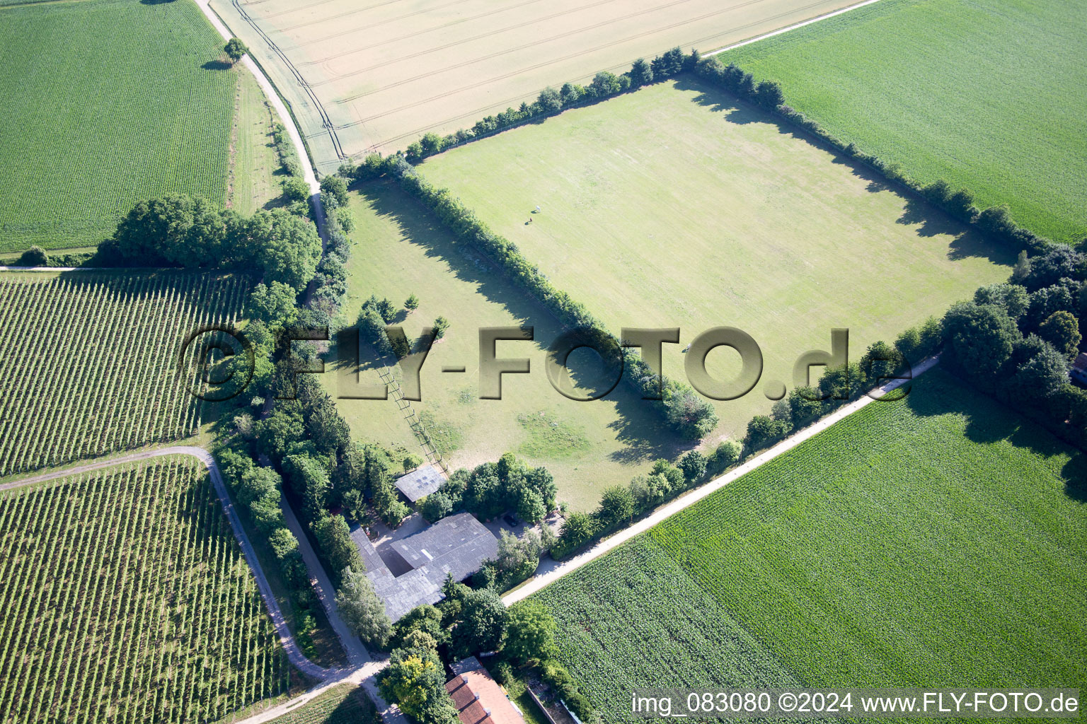 Enregistrement par drone de Minfeld dans le département Rhénanie-Palatinat, Allemagne