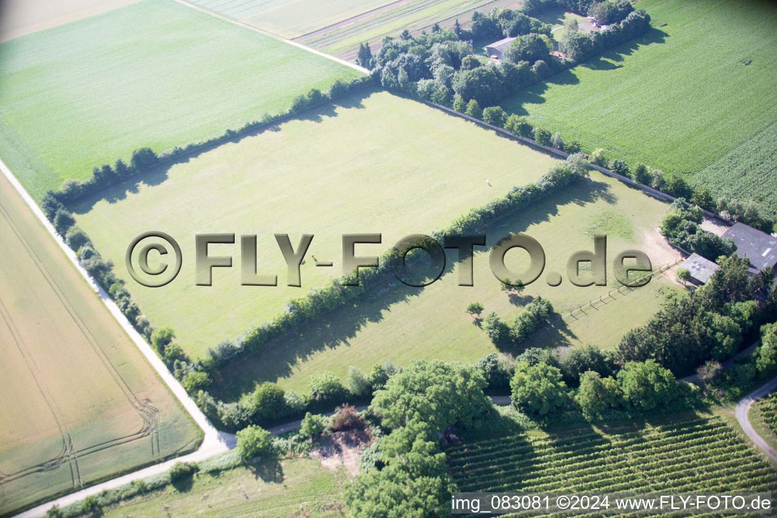 Image drone de Minfeld dans le département Rhénanie-Palatinat, Allemagne