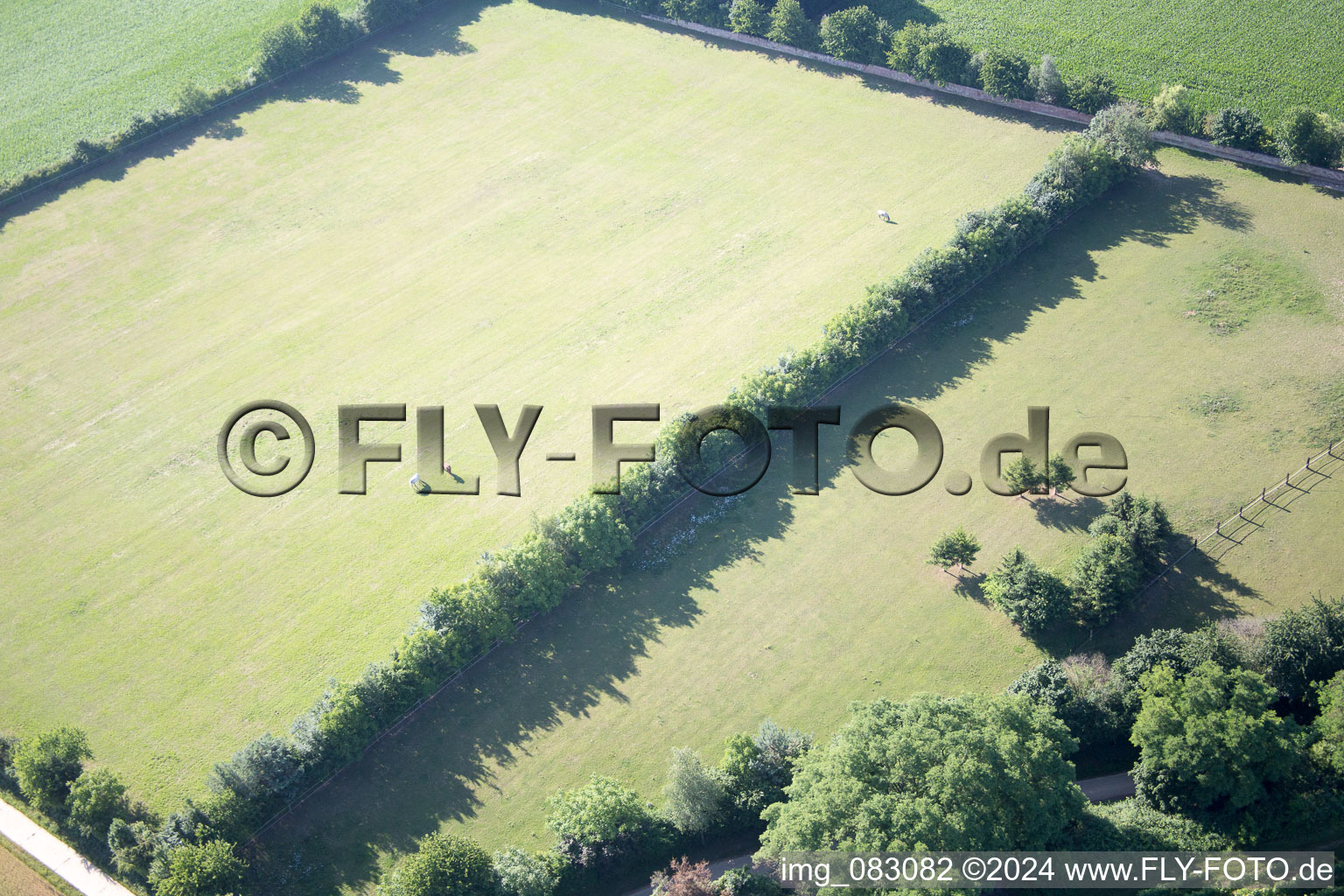 Minfeld dans le département Rhénanie-Palatinat, Allemagne du point de vue du drone