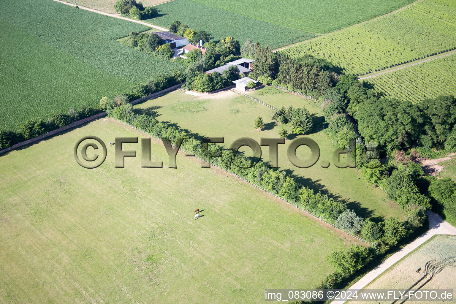 Photographie aérienne de Minfeld dans le département Rhénanie-Palatinat, Allemagne