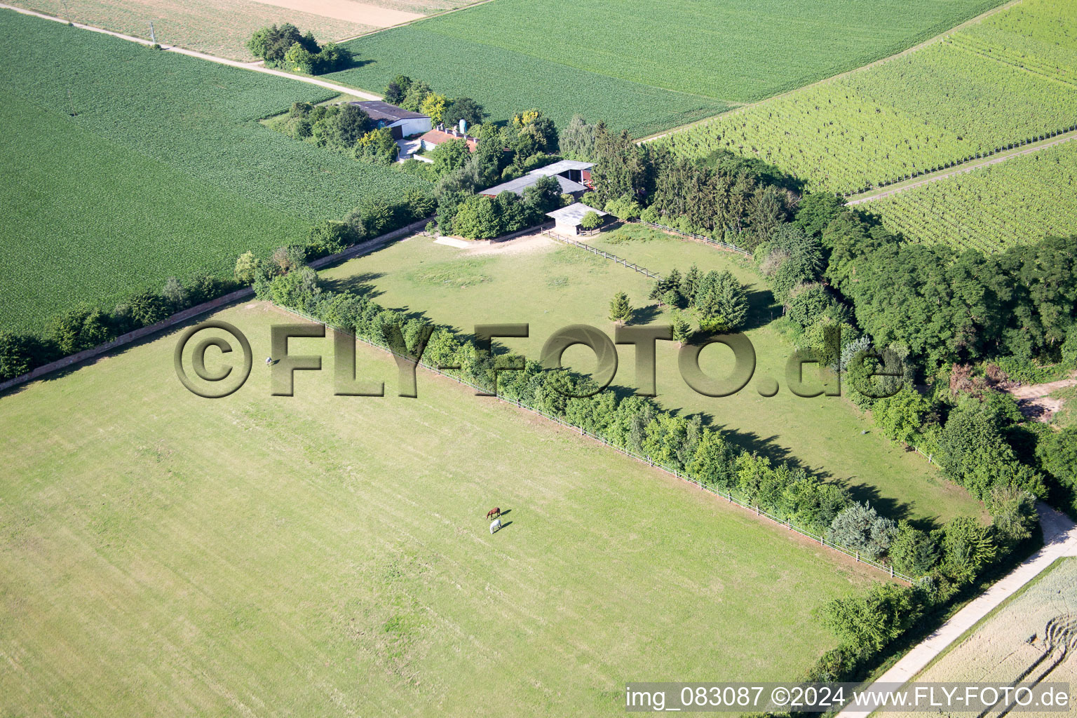 Vue oblique de Minfeld dans le département Rhénanie-Palatinat, Allemagne