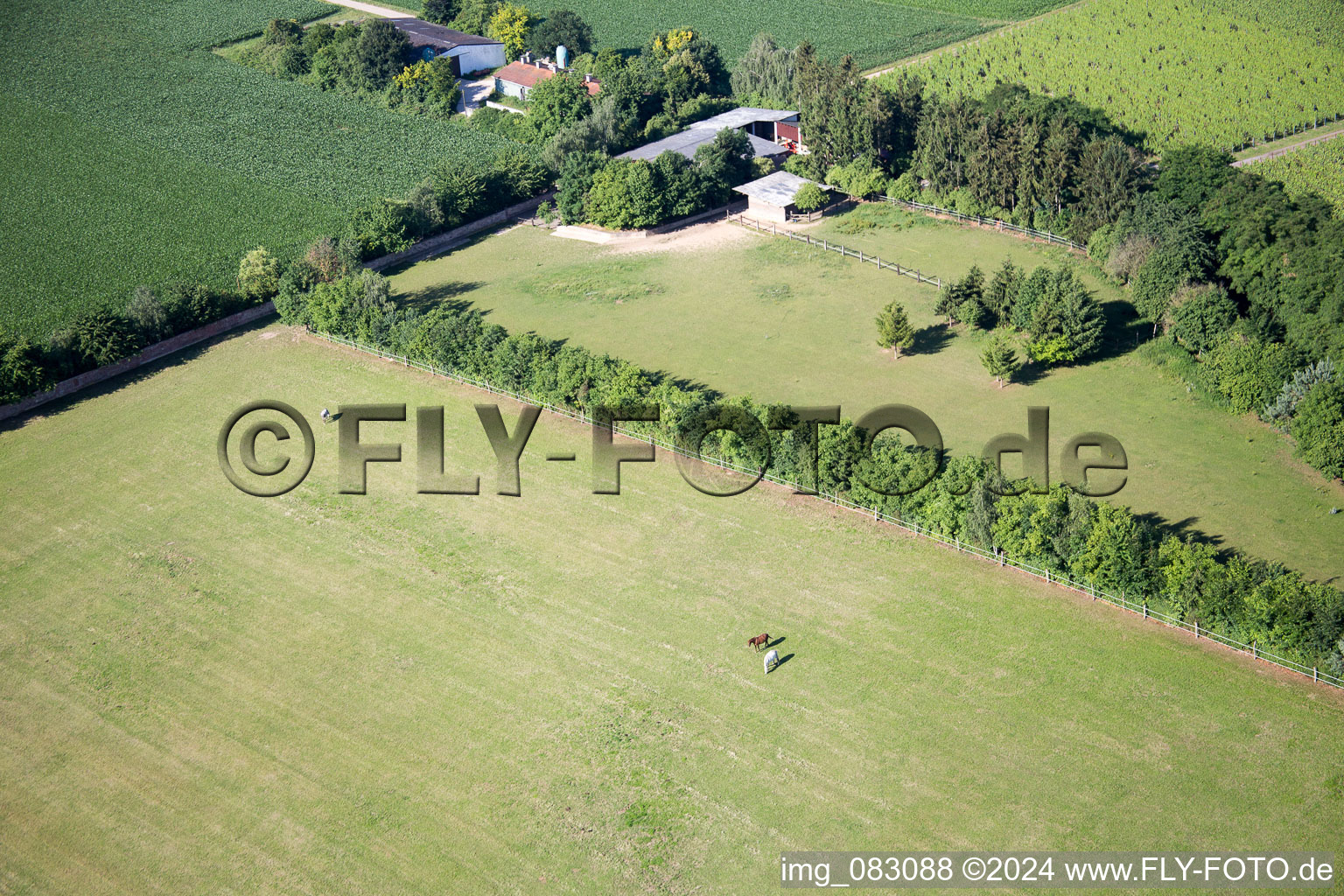 Minfeld dans le département Rhénanie-Palatinat, Allemagne d'en haut