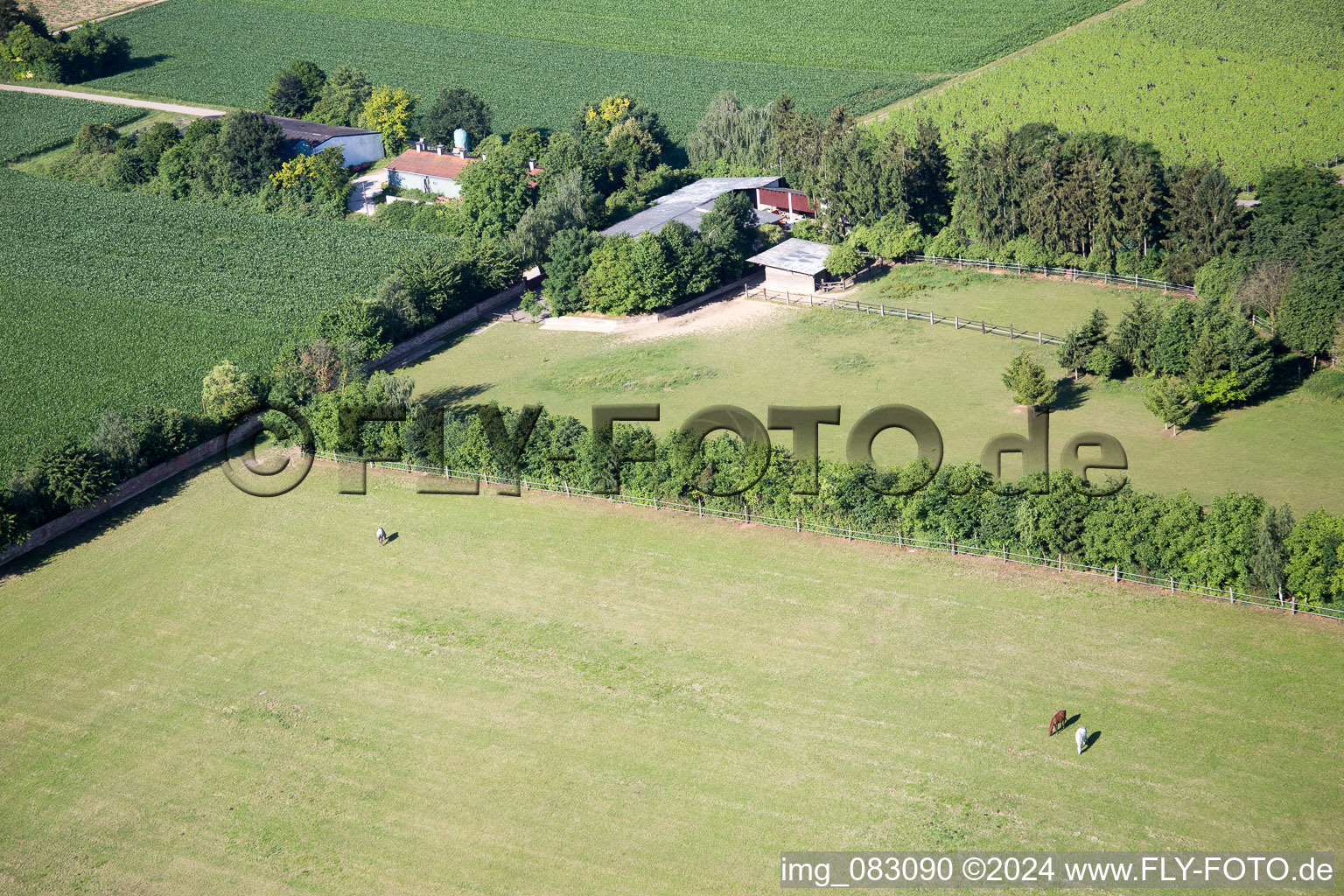 Minfeld dans le département Rhénanie-Palatinat, Allemagne vue d'en haut