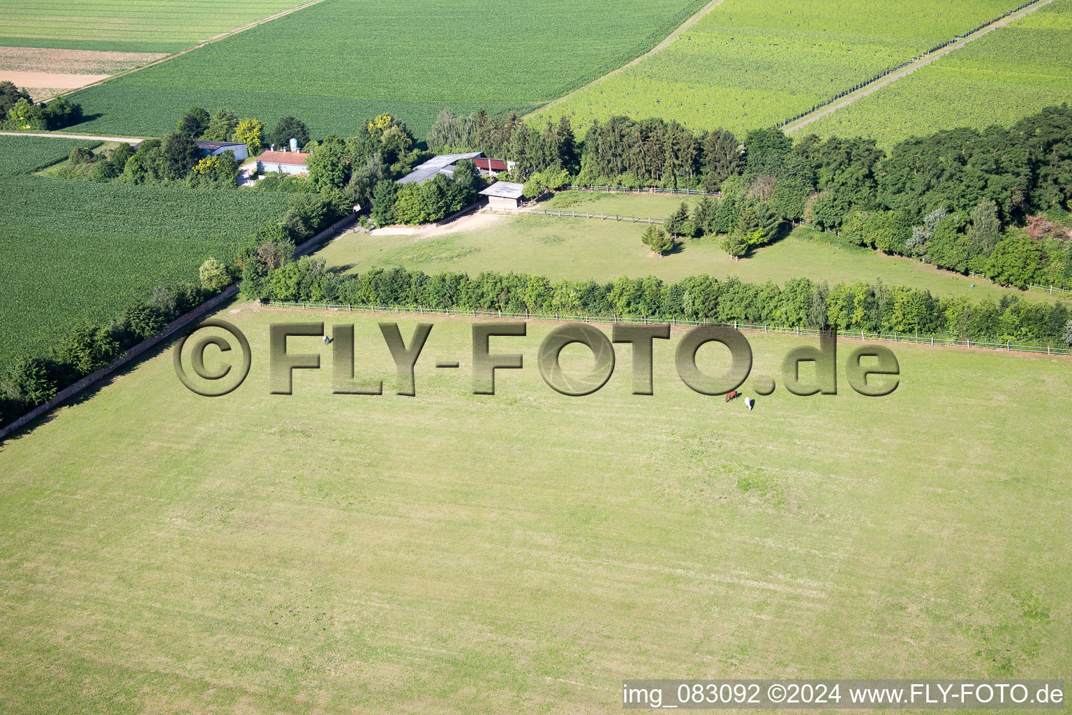 Minfeld dans le département Rhénanie-Palatinat, Allemagne depuis l'avion