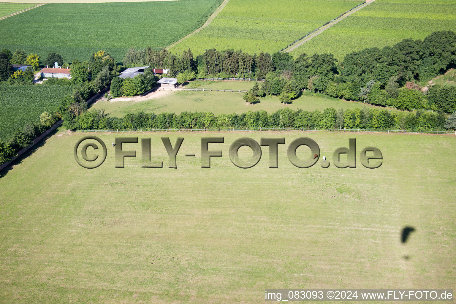 Vue d'oiseau de Minfeld dans le département Rhénanie-Palatinat, Allemagne