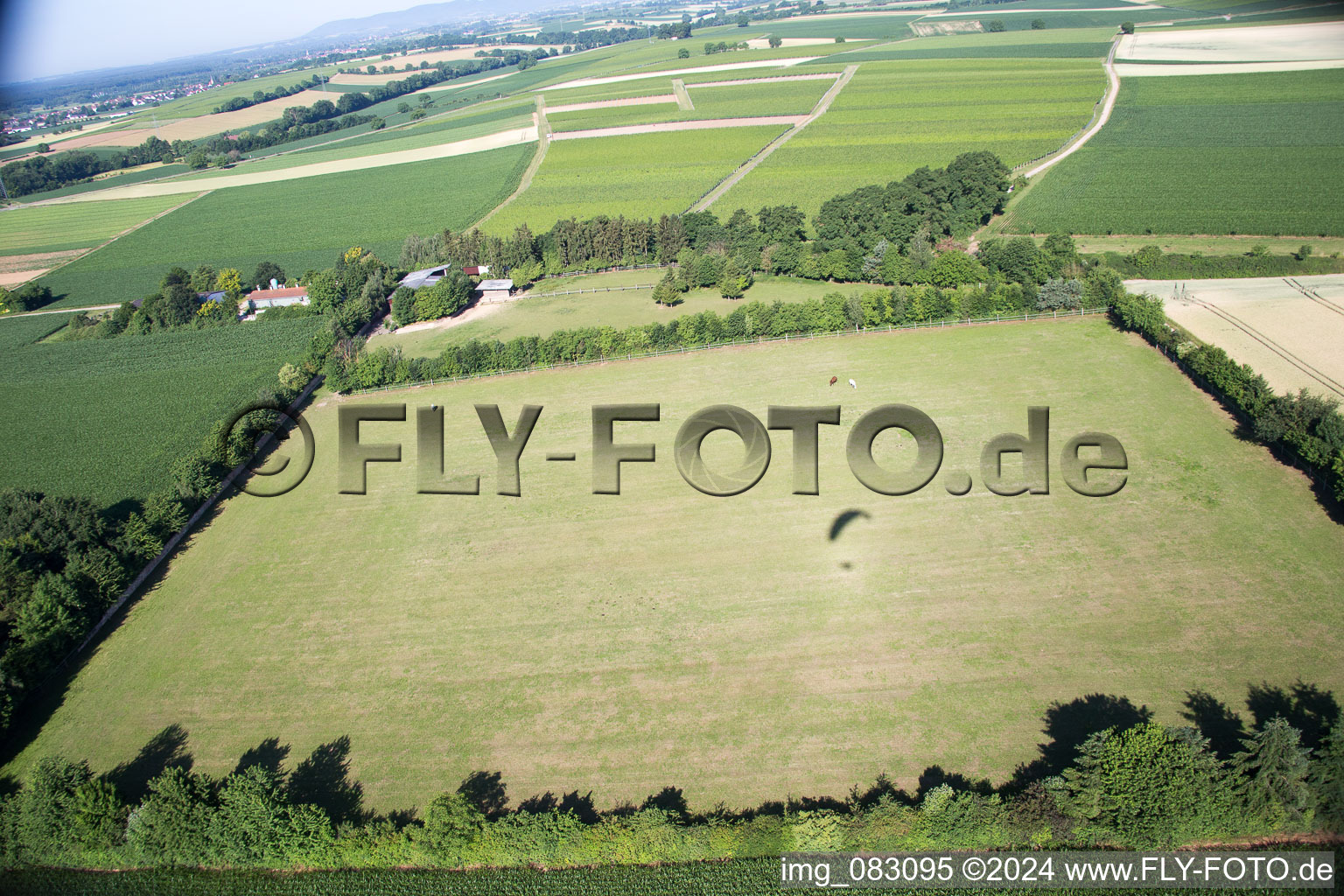 Enregistrement par drone de Minfeld dans le département Rhénanie-Palatinat, Allemagne