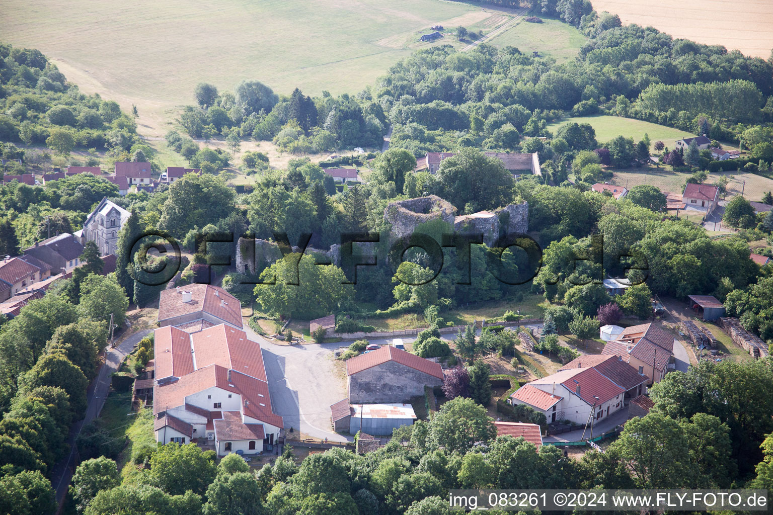 Photographie aérienne de Prény dans le département Meurthe et Moselle, France