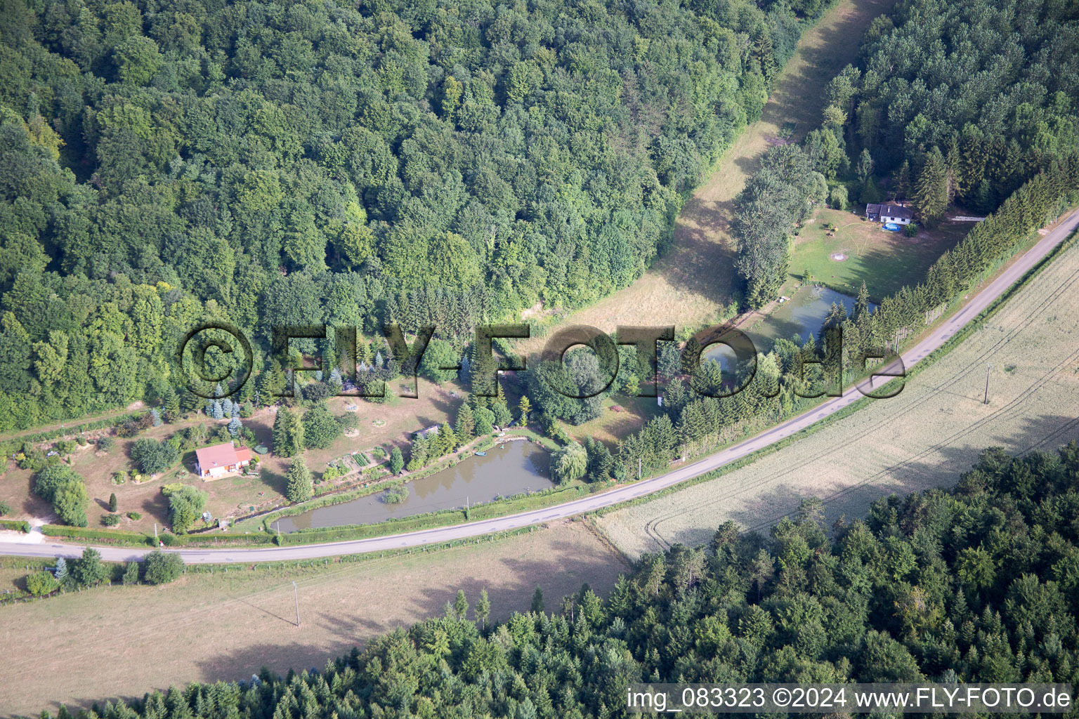 Vue aérienne de Étangs à poissons à Lamorville dans le département Meuse, France