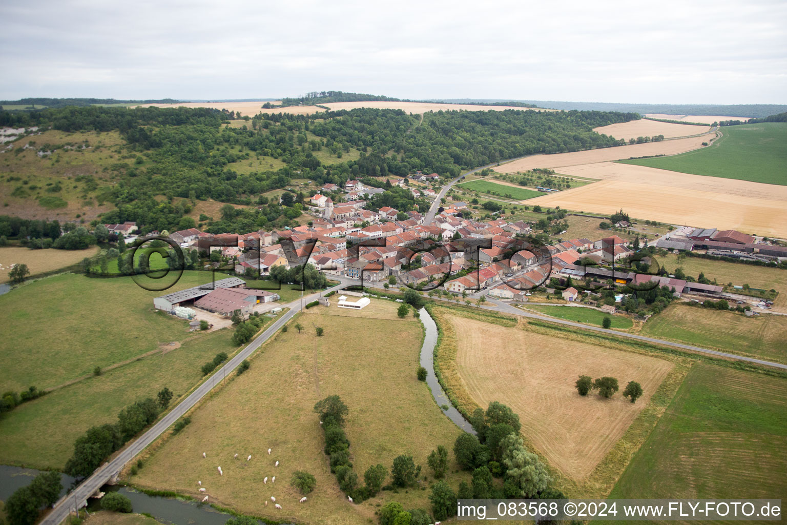 Vue aérienne de Pagny-la-Blanche-Côte dans le département Meuse, France