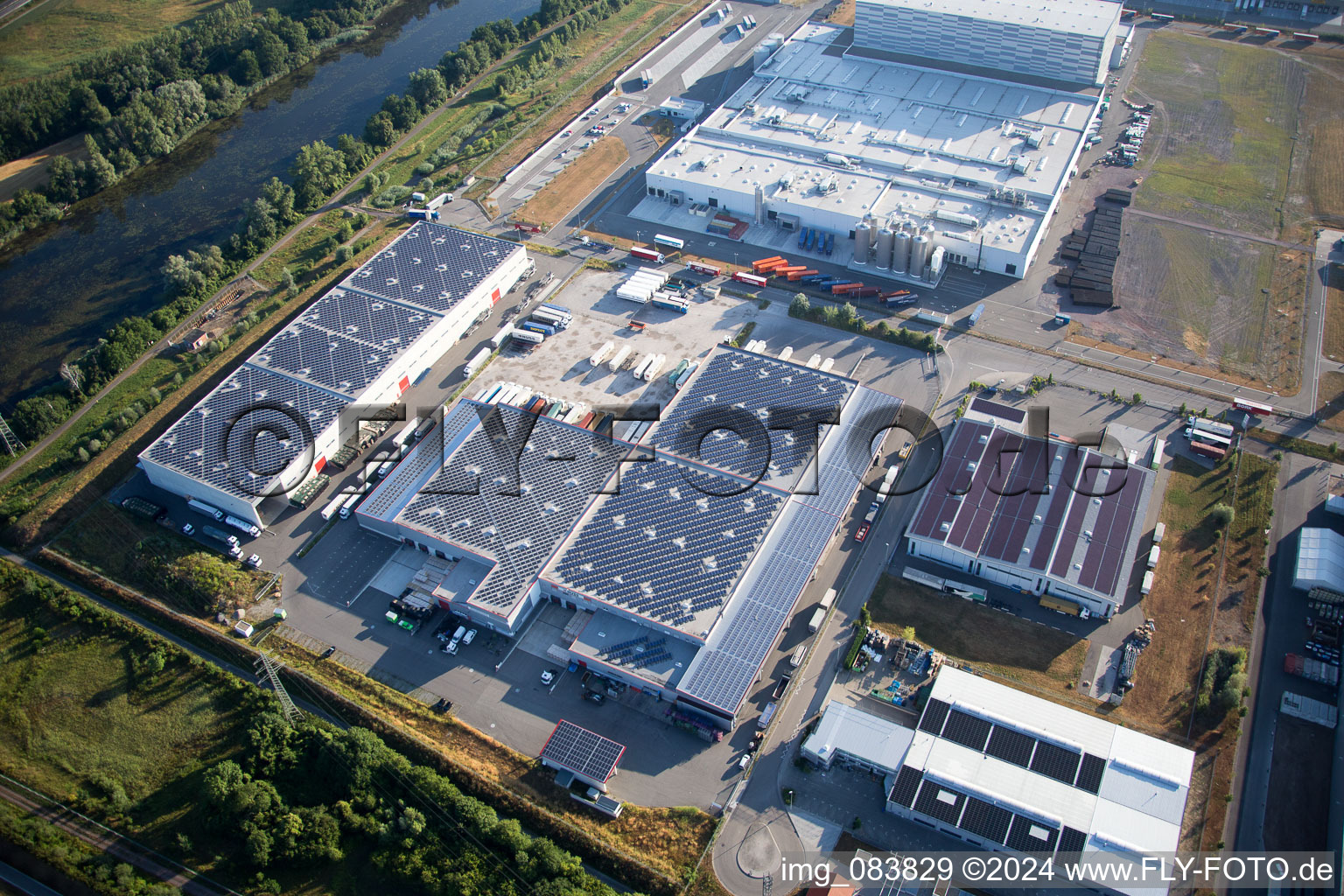 Image drone de Zone industrielle d'Oberwald à Wörth am Rhein dans le département Rhénanie-Palatinat, Allemagne