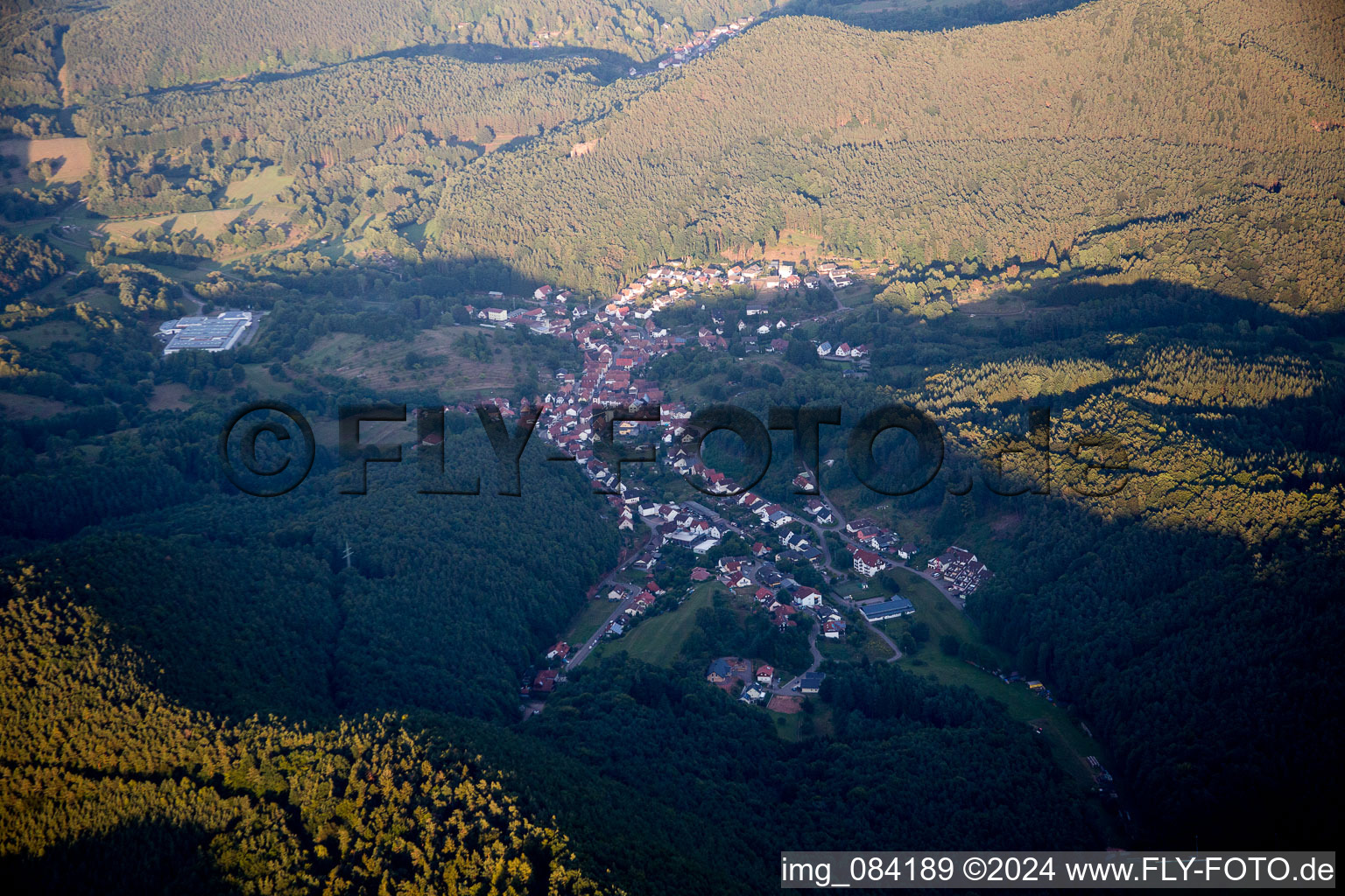 Vue aérienne de De l'ouest à Schwanheim dans le département Rhénanie-Palatinat, Allemagne