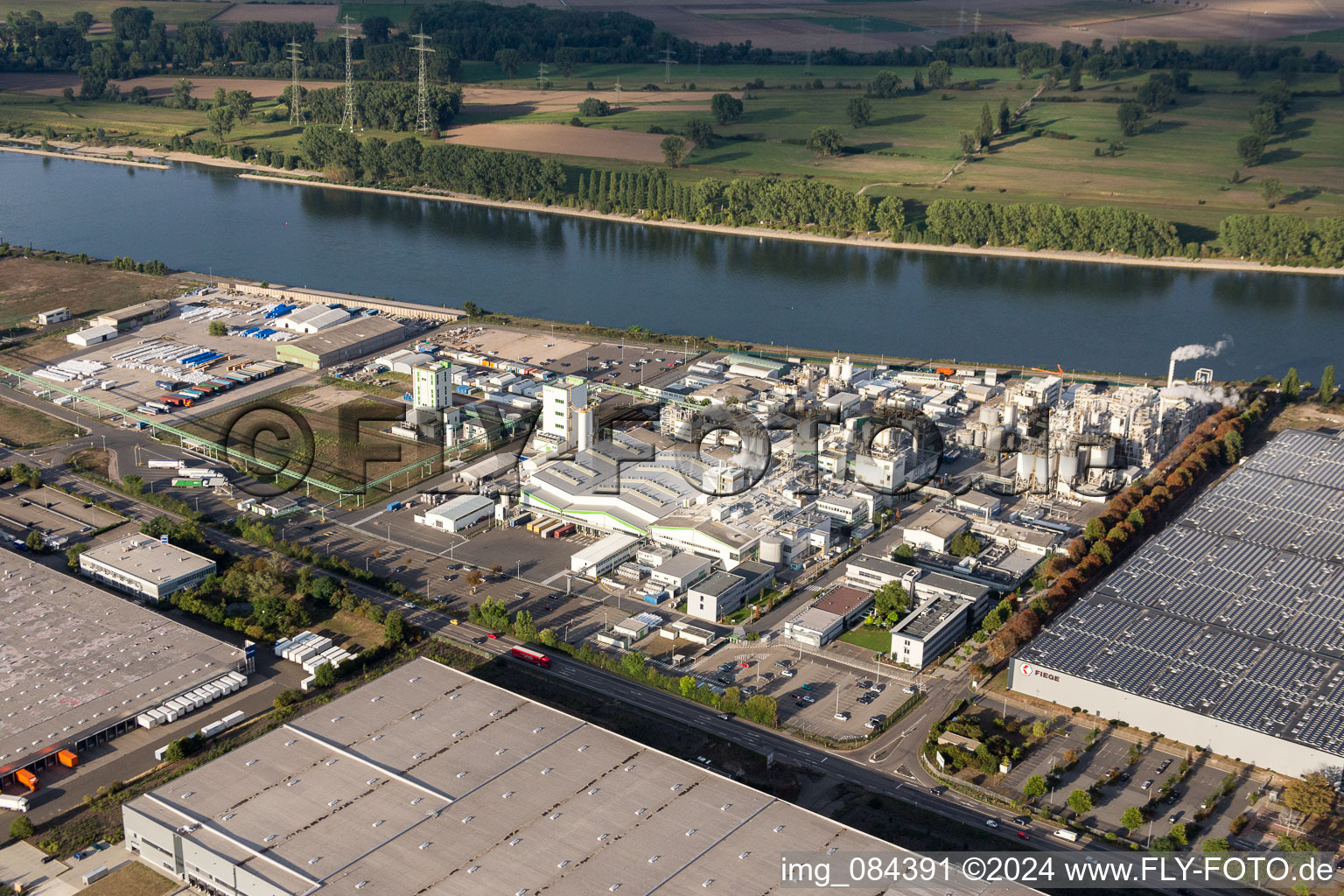 Vue aérienne de Bâtiments et installations de production sur le site de l'usine du producteur chimique Grace GmbH au bord du Rhin à Worms dans le département Rhénanie-Palatinat, Allemagne