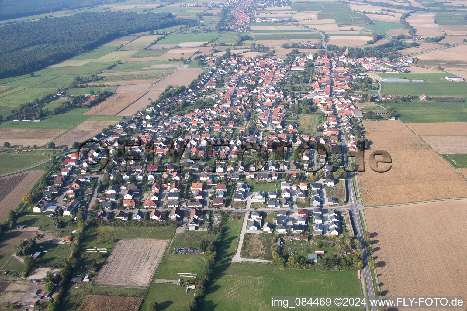 Minfeld dans le département Rhénanie-Palatinat, Allemagne vue d'en haut