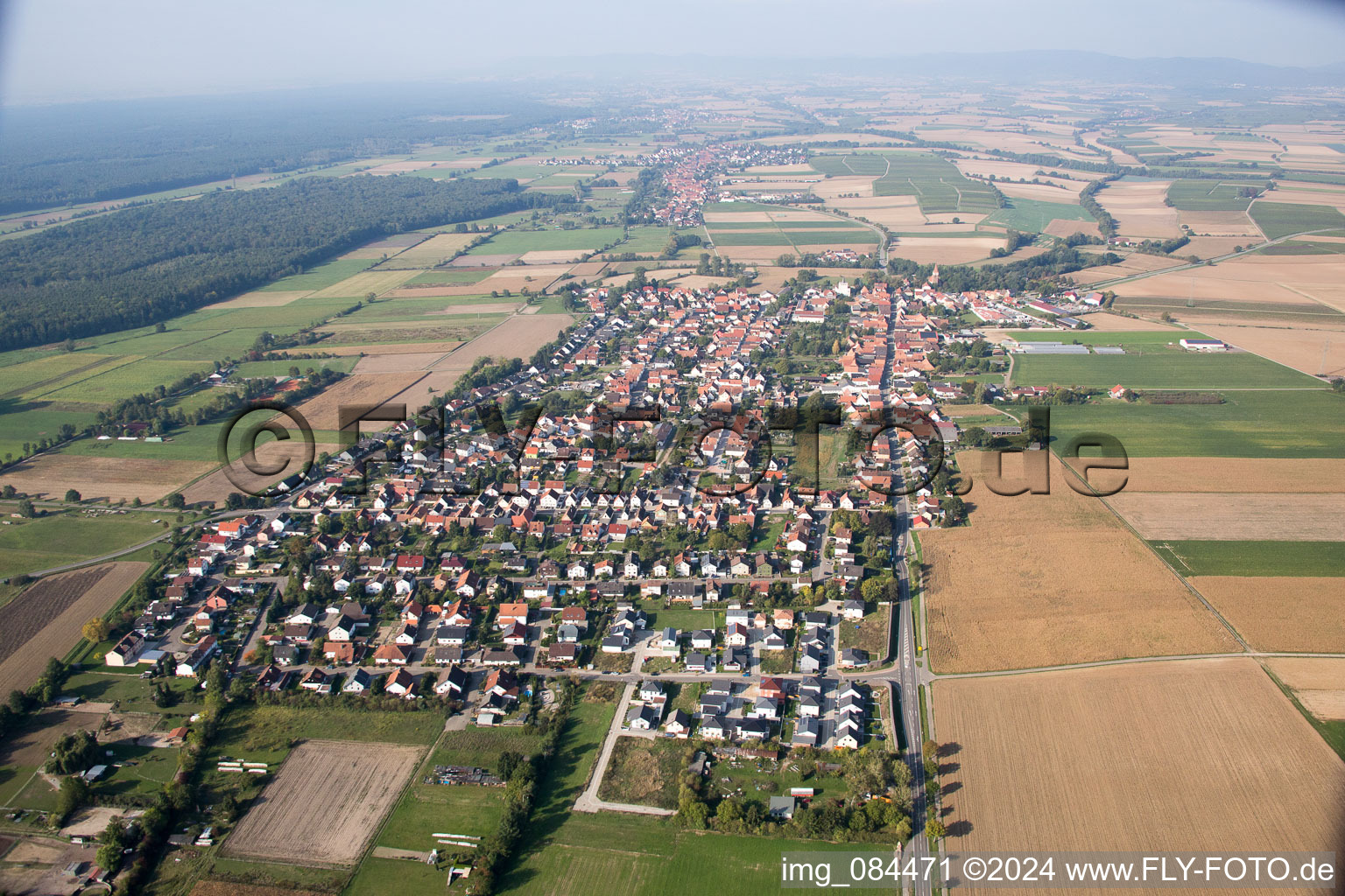 Vue d'oiseau de Minfeld dans le département Rhénanie-Palatinat, Allemagne