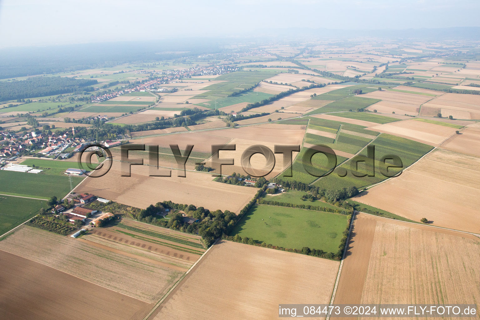 Galgenberg à Minfeld dans le département Rhénanie-Palatinat, Allemagne d'en haut