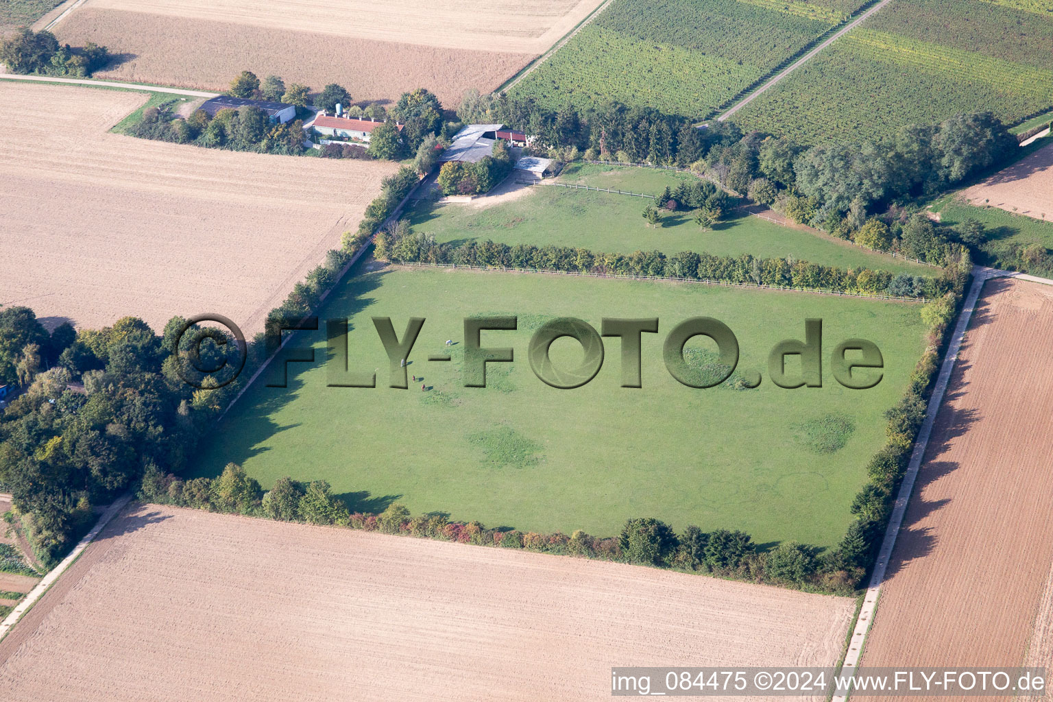 Galgenberg à Minfeld dans le département Rhénanie-Palatinat, Allemagne vue d'en haut