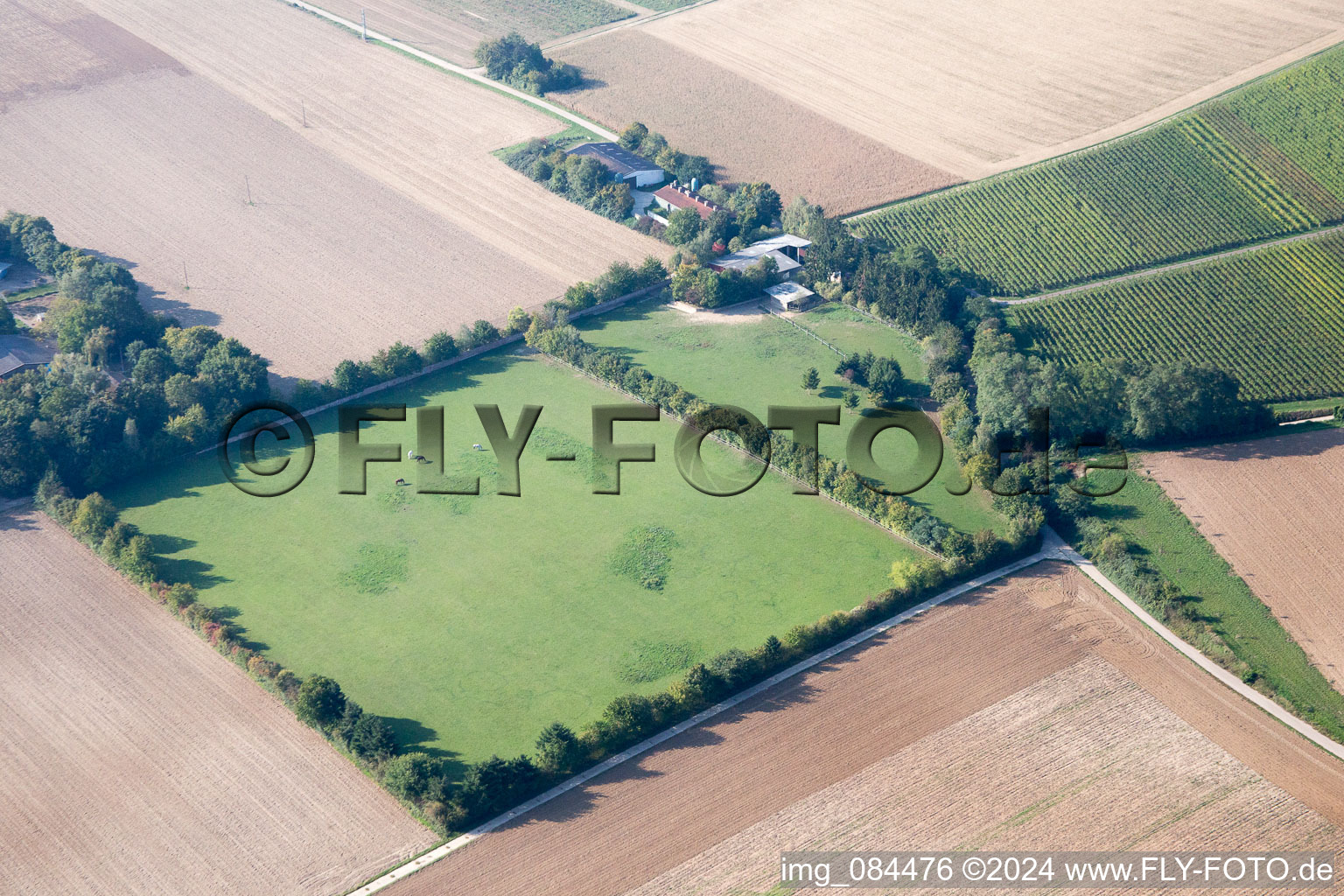 Galgenberg à Minfeld dans le département Rhénanie-Palatinat, Allemagne depuis l'avion