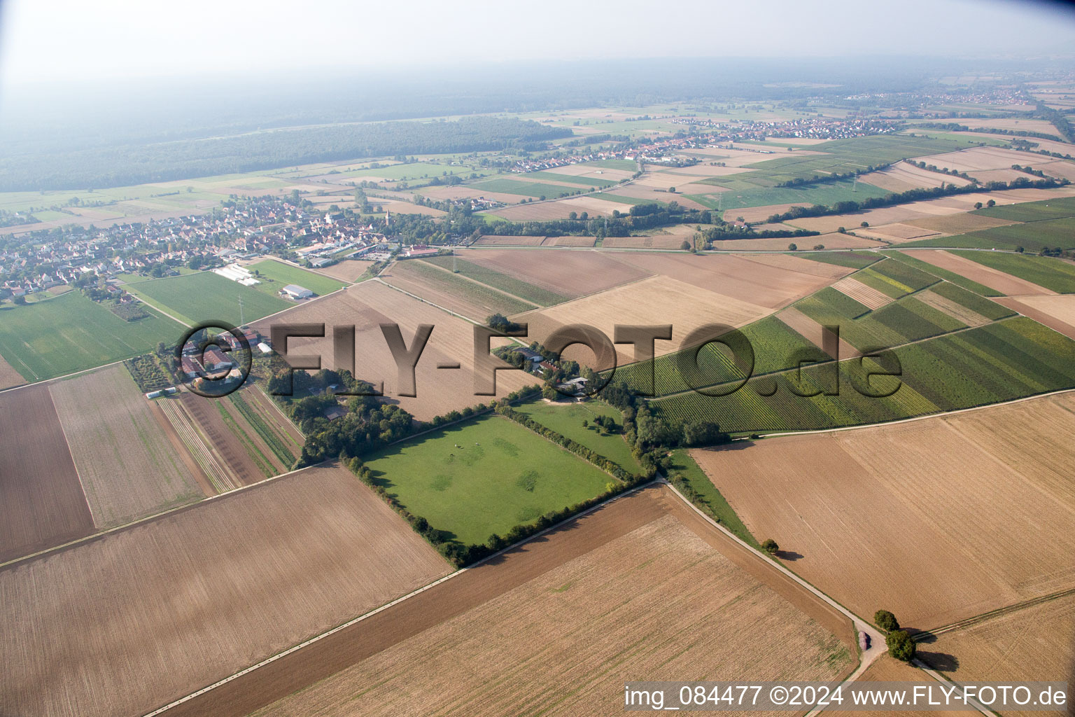 Vue d'oiseau de Galgenberg à Minfeld dans le département Rhénanie-Palatinat, Allemagne