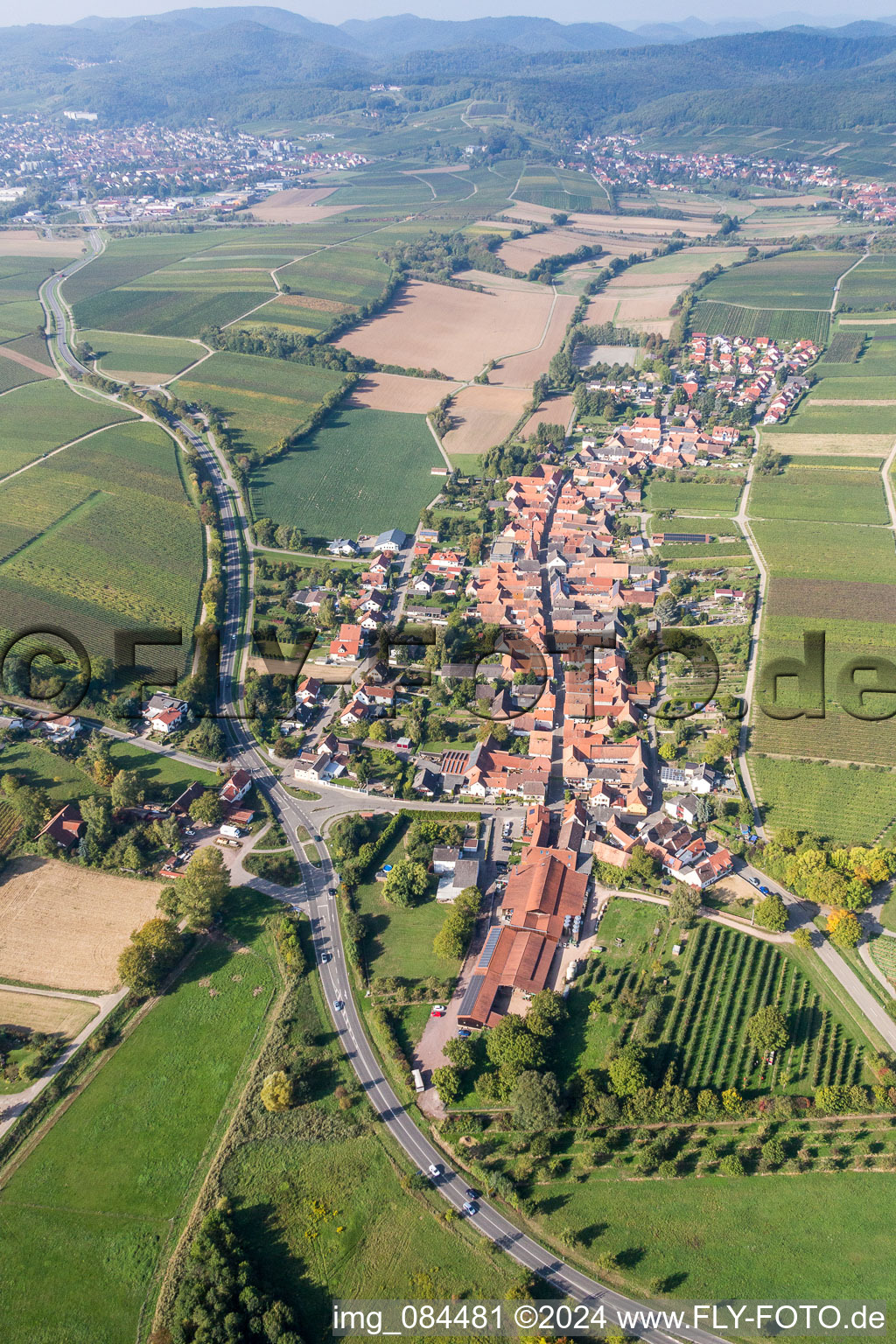 Vue aérienne de Champs agricoles et surfaces utilisables à Niederhorbach dans le département Rhénanie-Palatinat, Allemagne