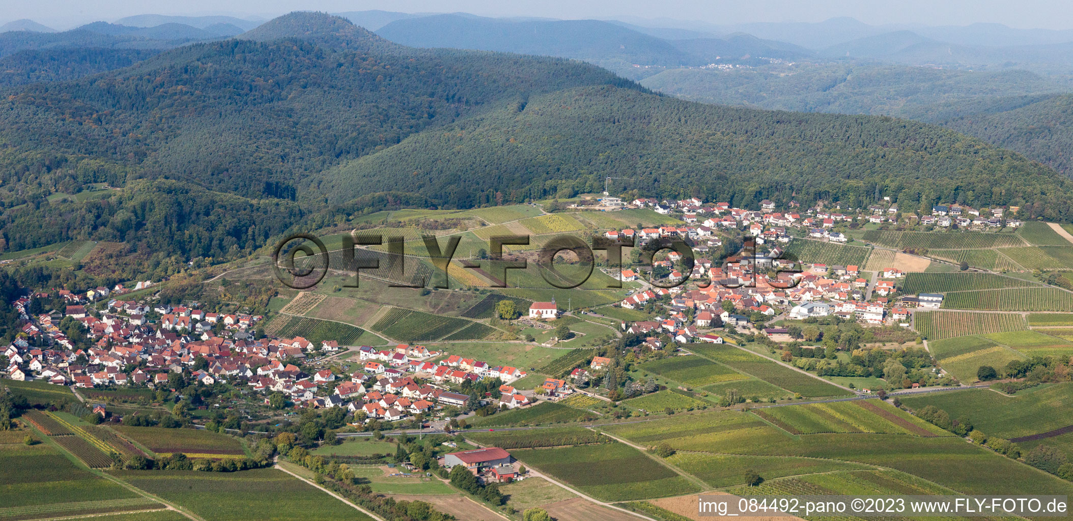 Vue aérienne de Vignobles et forêt à le quartier Gleiszellen in Gleiszellen-Gleishorbach dans le département Rhénanie-Palatinat, Allemagne