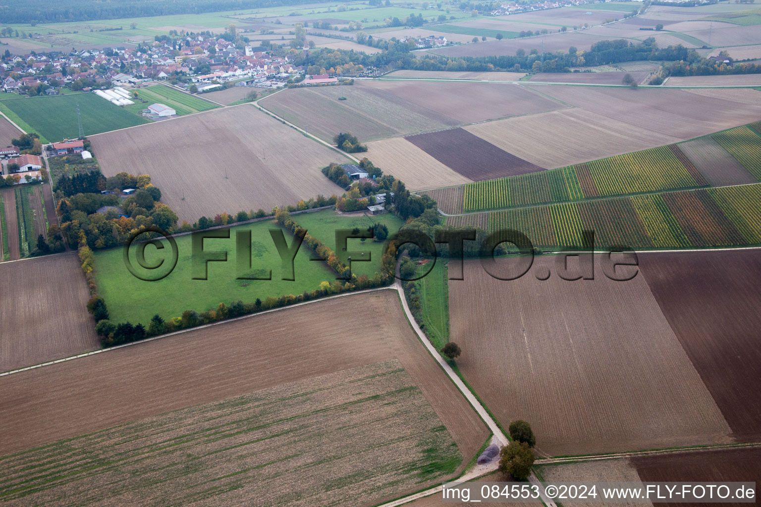 Galgenberg à Minfeld dans le département Rhénanie-Palatinat, Allemagne vue du ciel