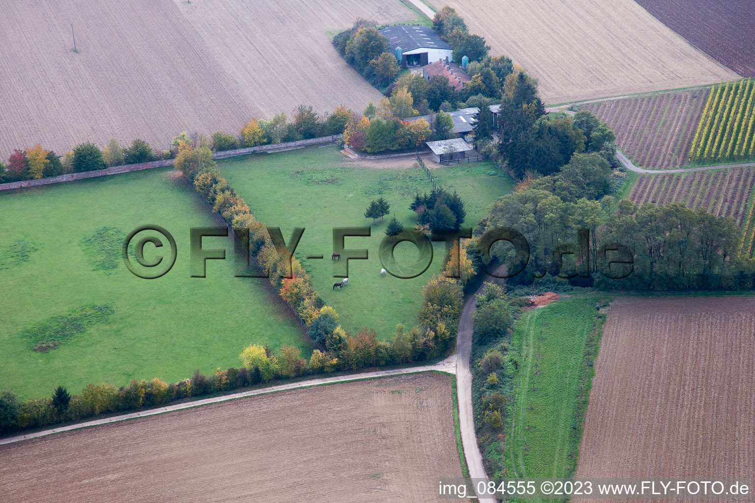 Enregistrement par drone de Galgenberg à Minfeld dans le département Rhénanie-Palatinat, Allemagne
