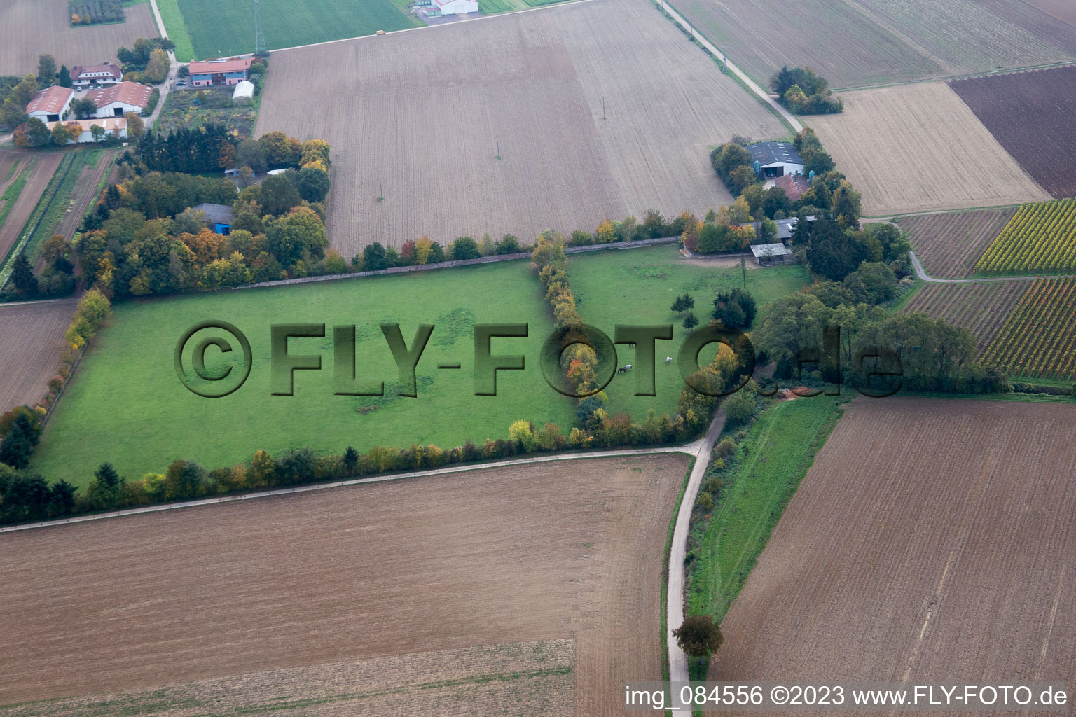 Image drone de Galgenberg à Minfeld dans le département Rhénanie-Palatinat, Allemagne