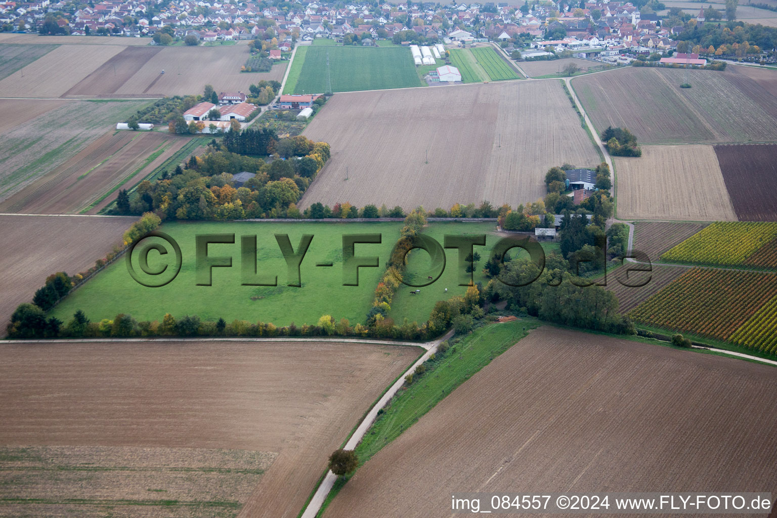 Enregistrement par drone de Minfeld dans le département Rhénanie-Palatinat, Allemagne