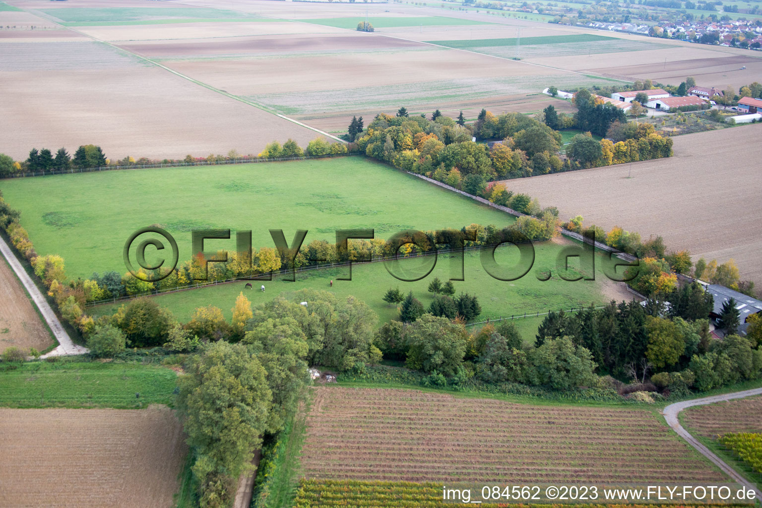 Minfeld dans le département Rhénanie-Palatinat, Allemagne d'un drone