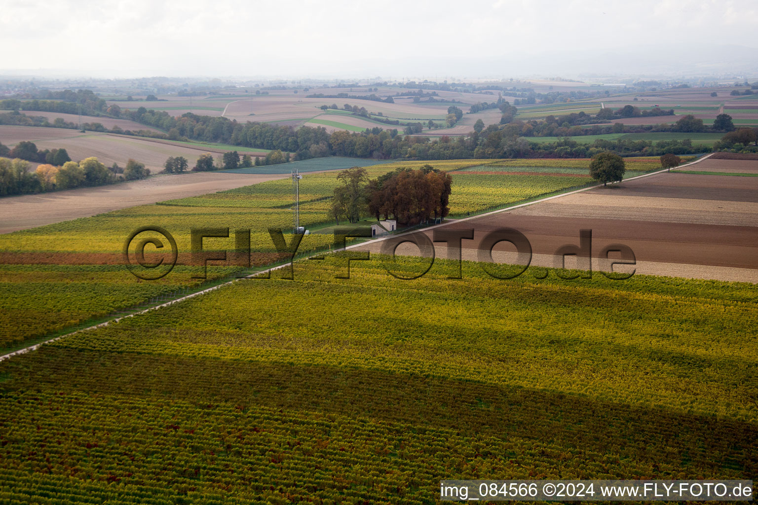 Vue aérienne de Chemin élevé à Freckenfeld dans le département Rhénanie-Palatinat, Allemagne