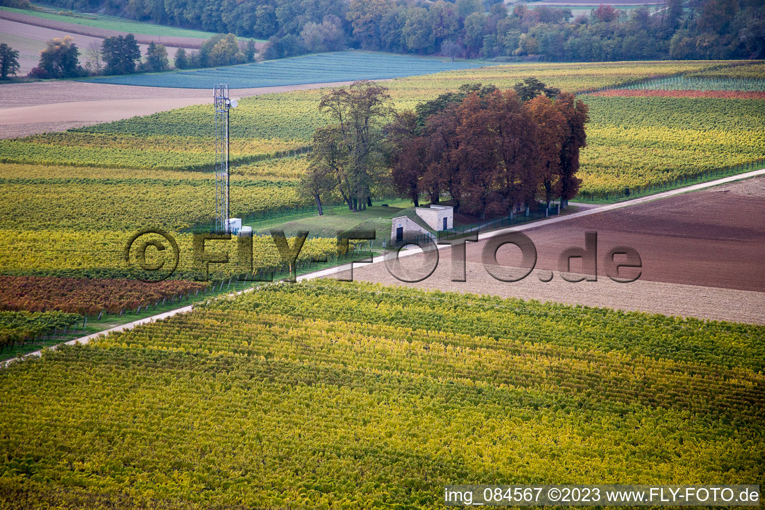 Vue aérienne de Chemin élevé à Freckenfeld dans le département Rhénanie-Palatinat, Allemagne