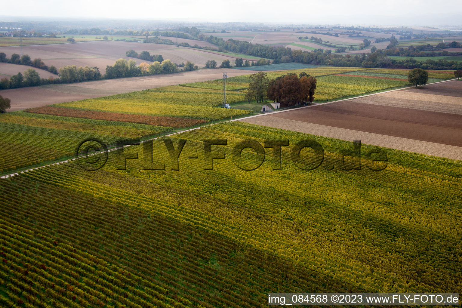 Photographie aérienne de Chemin élevé à Freckenfeld dans le département Rhénanie-Palatinat, Allemagne