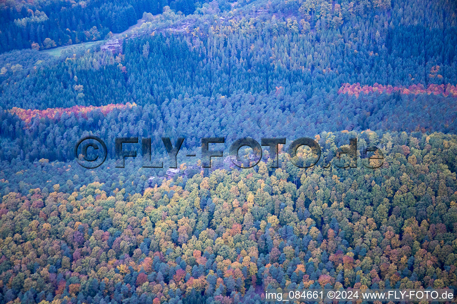 Vue aérienne de Forêt d'automne des Vosges du Nord à Dambach à Dambach dans le département Bas Rhin, France