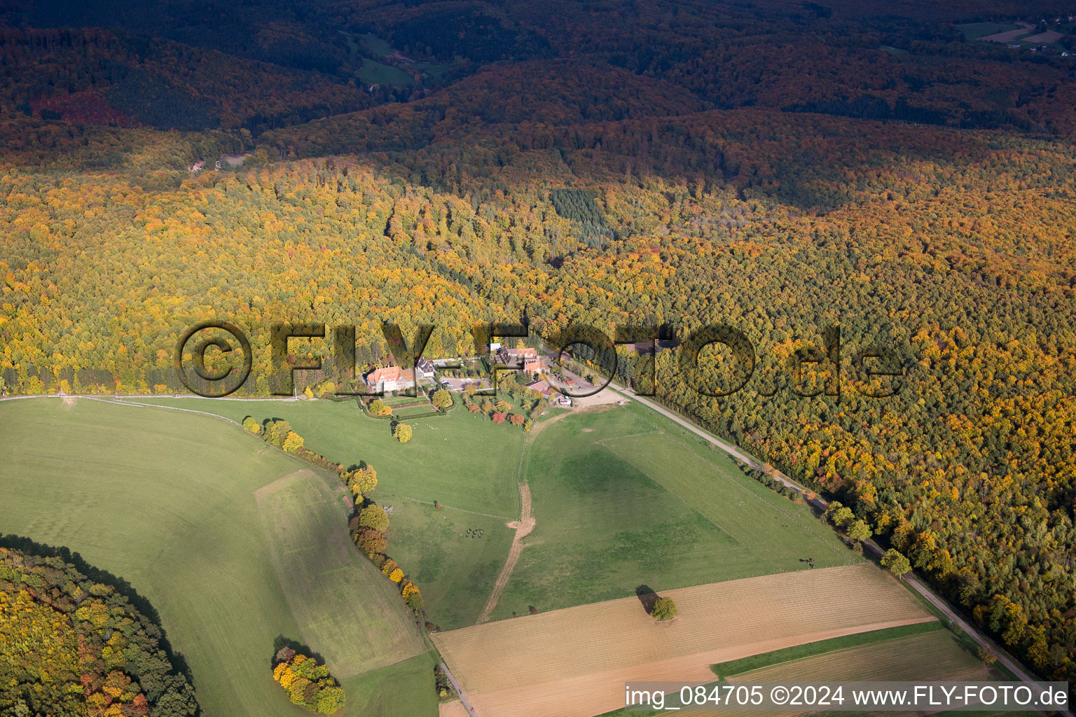 Vue aérienne de Villa le Riessack à Niederbronn-les-Bains dans le département Bas Rhin, France