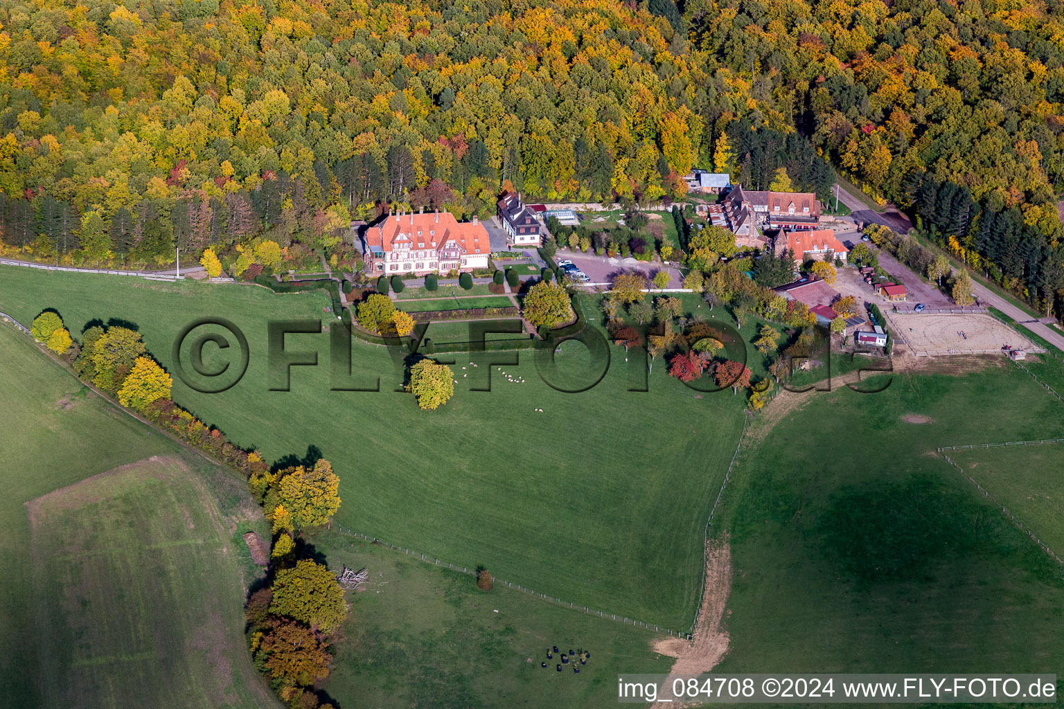 Vue aérienne de Bâtiments et parcs du manoir et du manoir Chambres d'Hôtes Villa le Riesack et la Ferme Mellon en lisière de forêt aux couleurs automnales à Niederbronn-les-Bains dans le département Bas Rhin, France