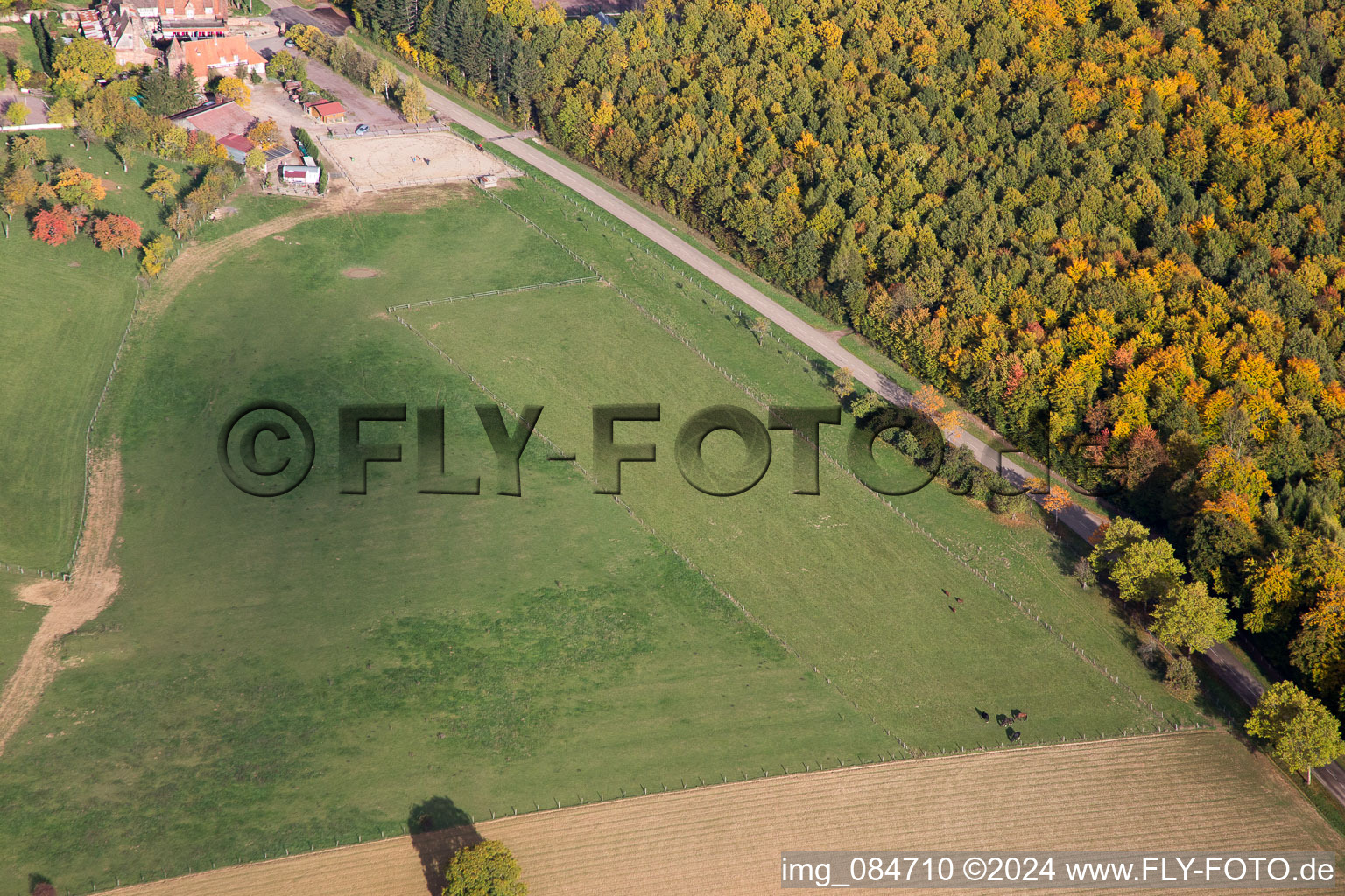 Photographie aérienne de Villa le Riessack à Niederbronn-les-Bains dans le département Bas Rhin, France