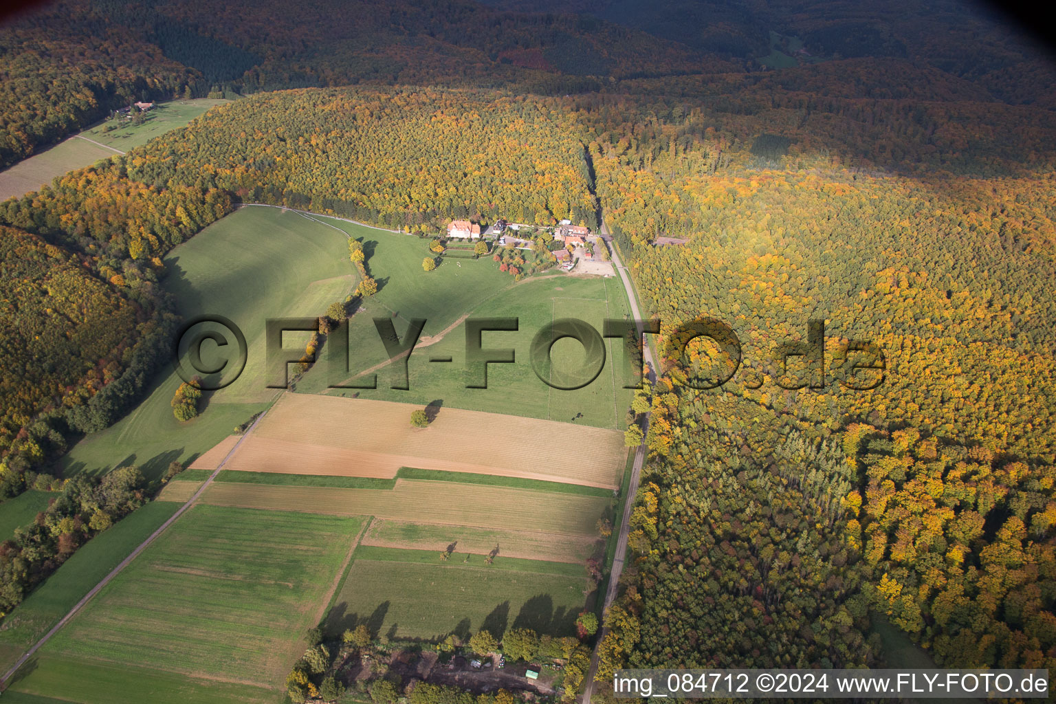 Vue oblique de Villa le Riessack à Niederbronn-les-Bains dans le département Bas Rhin, France