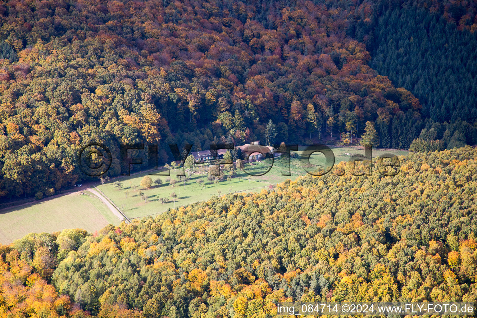 Vue aérienne de Ferme le Riessack à Niederbronn-les-Bains dans le département Bas Rhin, France