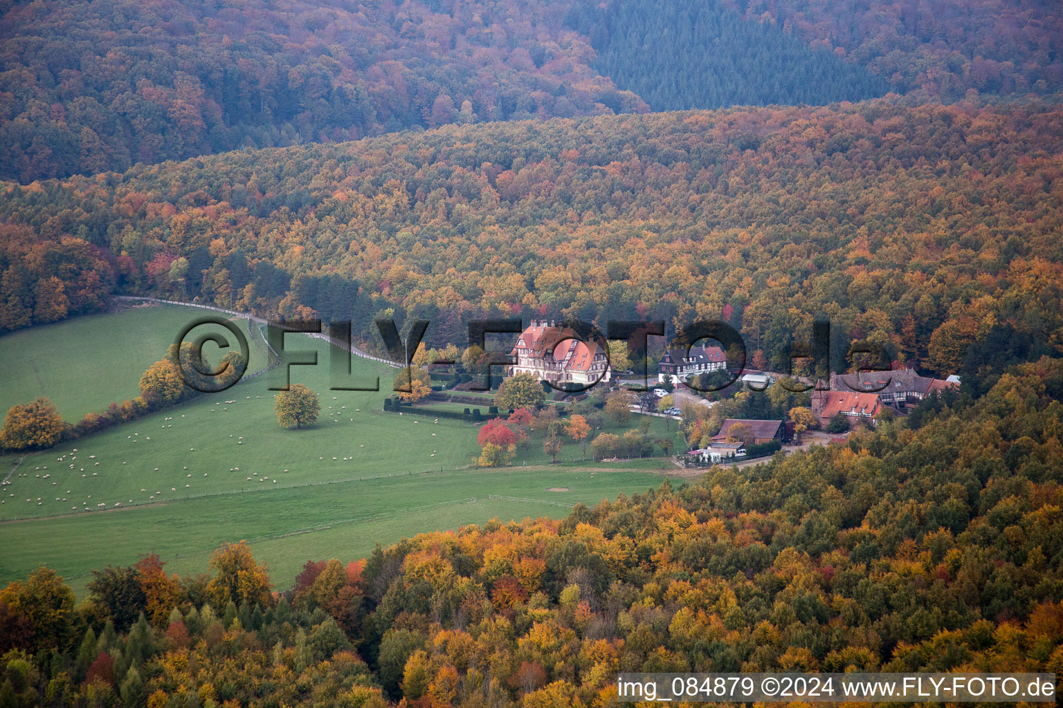 Villa le Riessack à Niederbronn-les-Bains dans le département Bas Rhin, France depuis l'avion