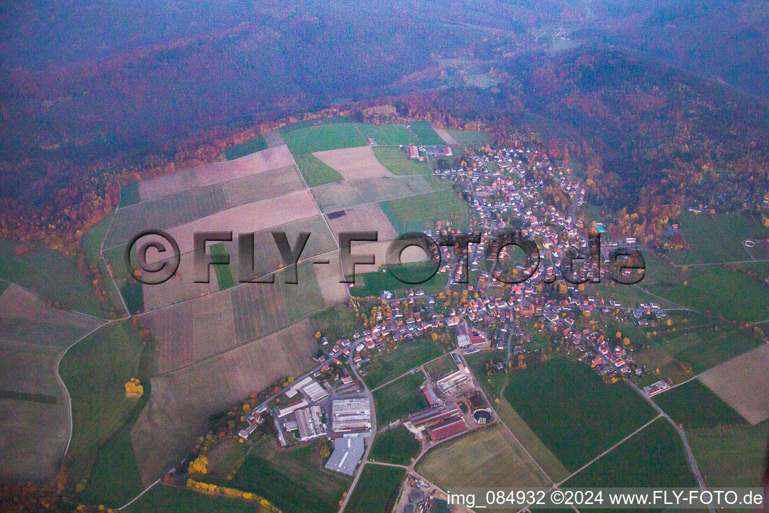 Vue aérienne de Quartier Vielbrunn in Michelstadt dans le département Hesse, Allemagne