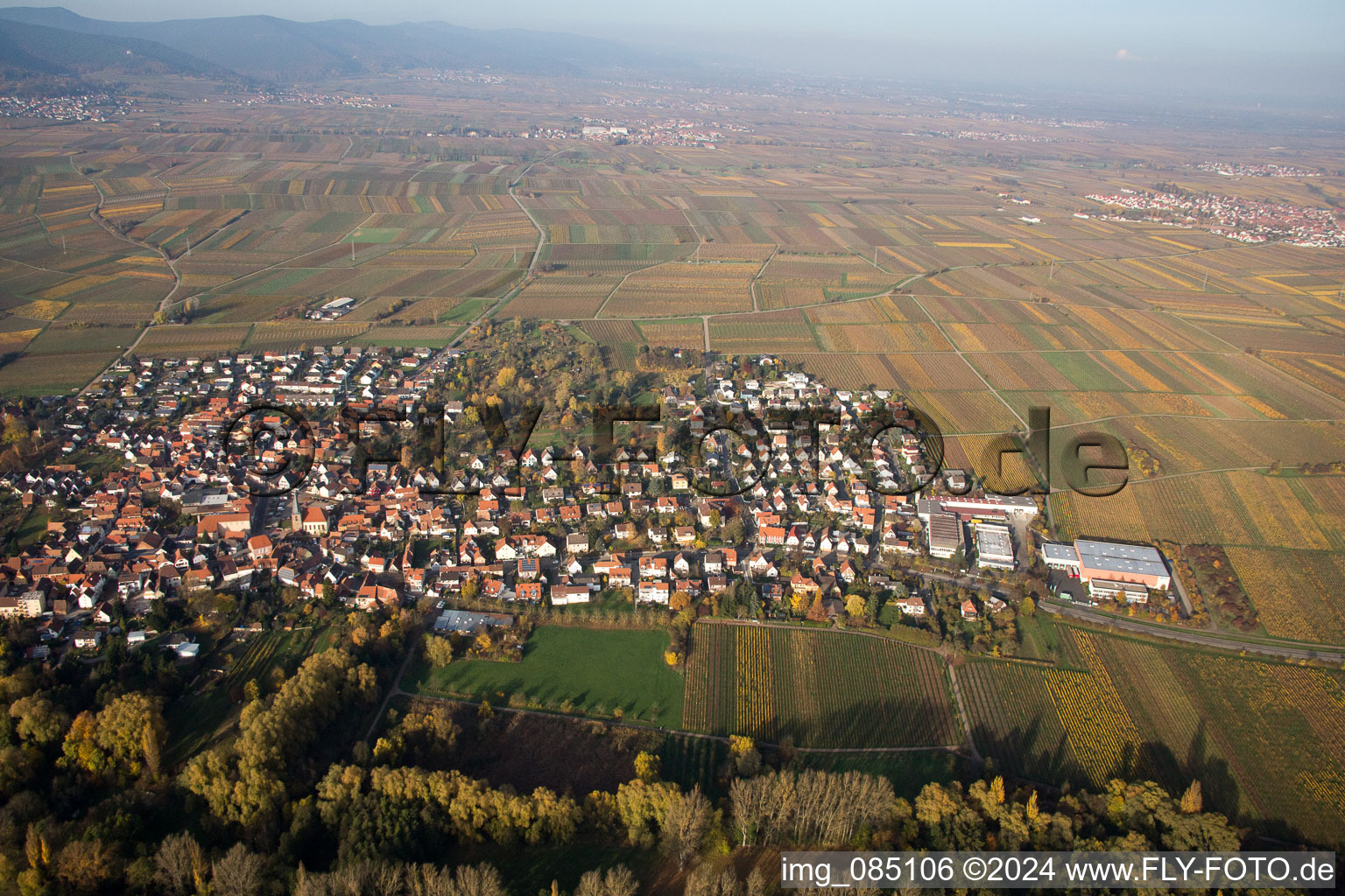 Vue aérienne de Quartier Godramstein in Landau in der Pfalz dans le département Rhénanie-Palatinat, Allemagne