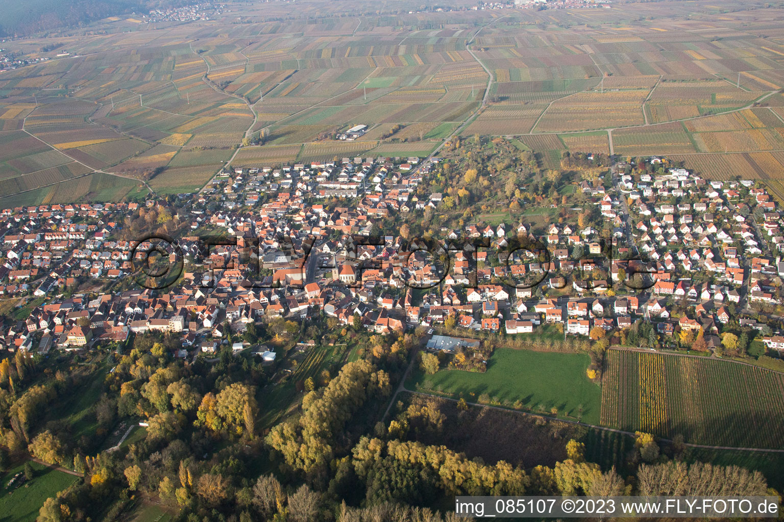 Vue aérienne de Quartier Godramstein in Landau in der Pfalz dans le département Rhénanie-Palatinat, Allemagne