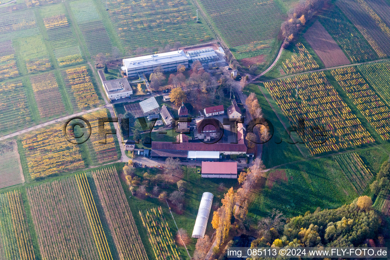 Vue aérienne de Ensemble immobilier de l'Institut Julius Kühn Rebforschungsanstalt Geilweilerhof à Siebeldingen dans le département Rhénanie-Palatinat, Allemagne