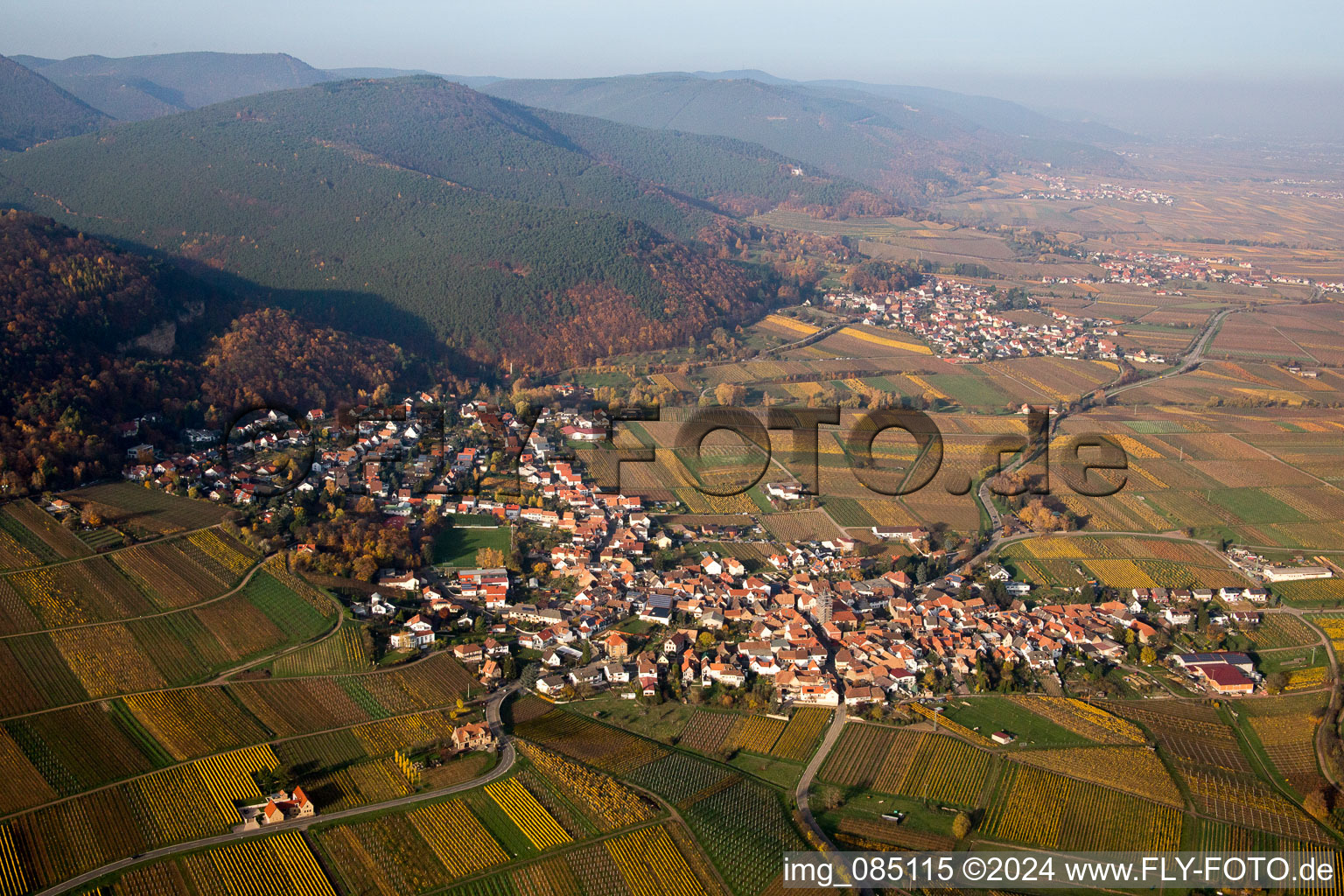 Vue aérienne de Vignobles sur le Haardtrand à Frankweiler dans le département Rhénanie-Palatinat, Allemagne